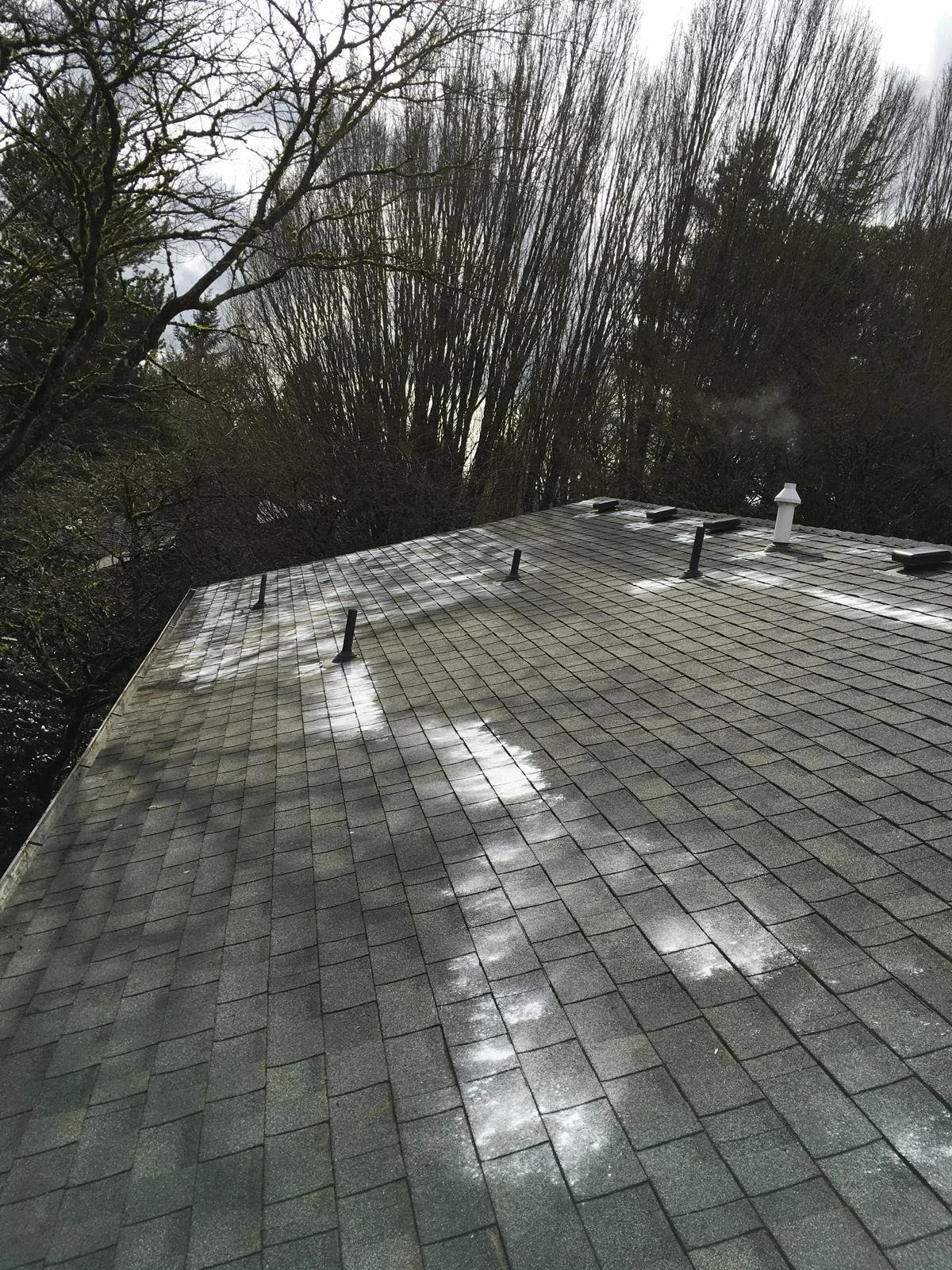 PHOTO-2026-03-30-22-02-33 6.jpg