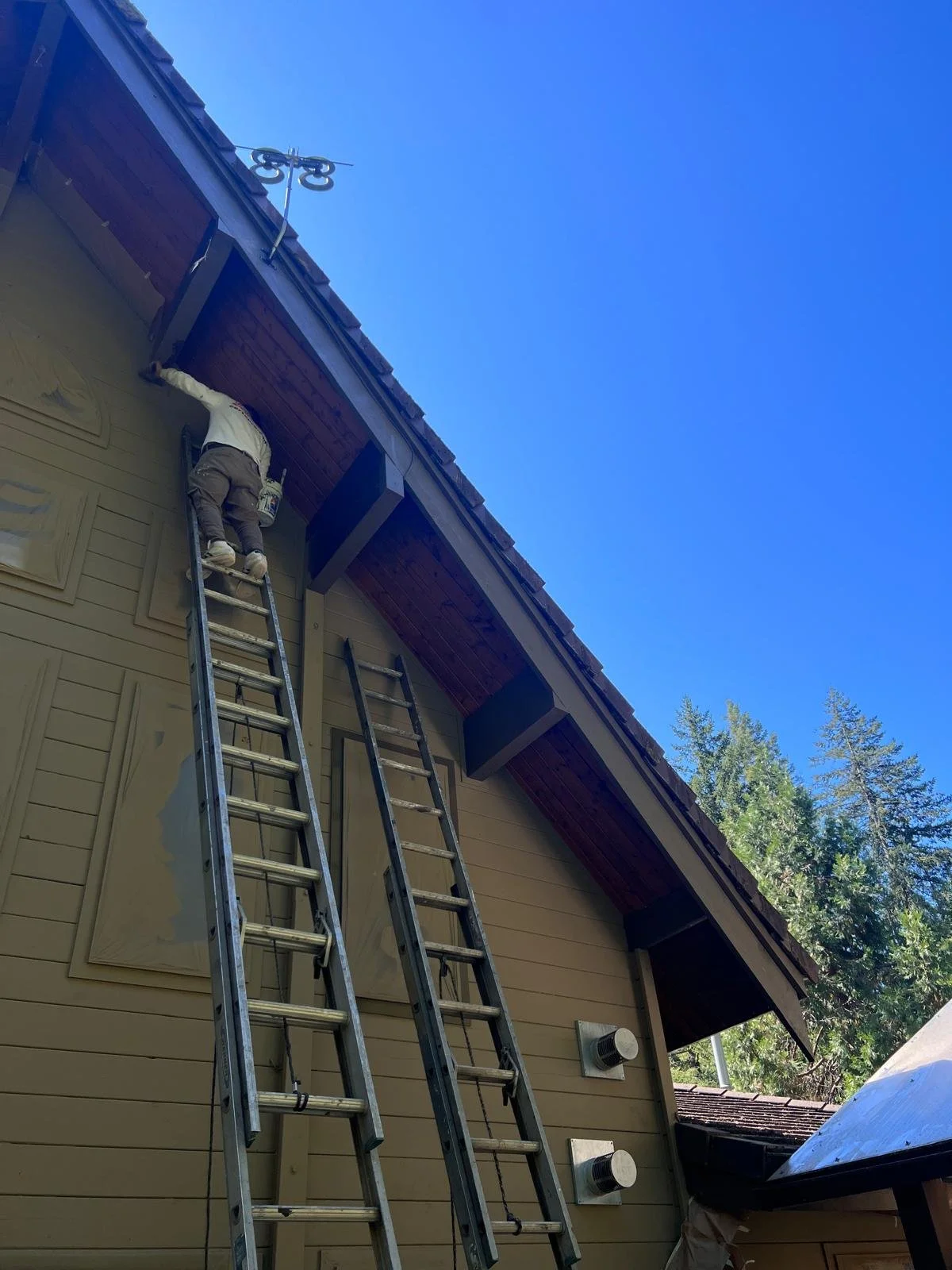 PHOTO-2026-03-30-22-11-29 18.jpg