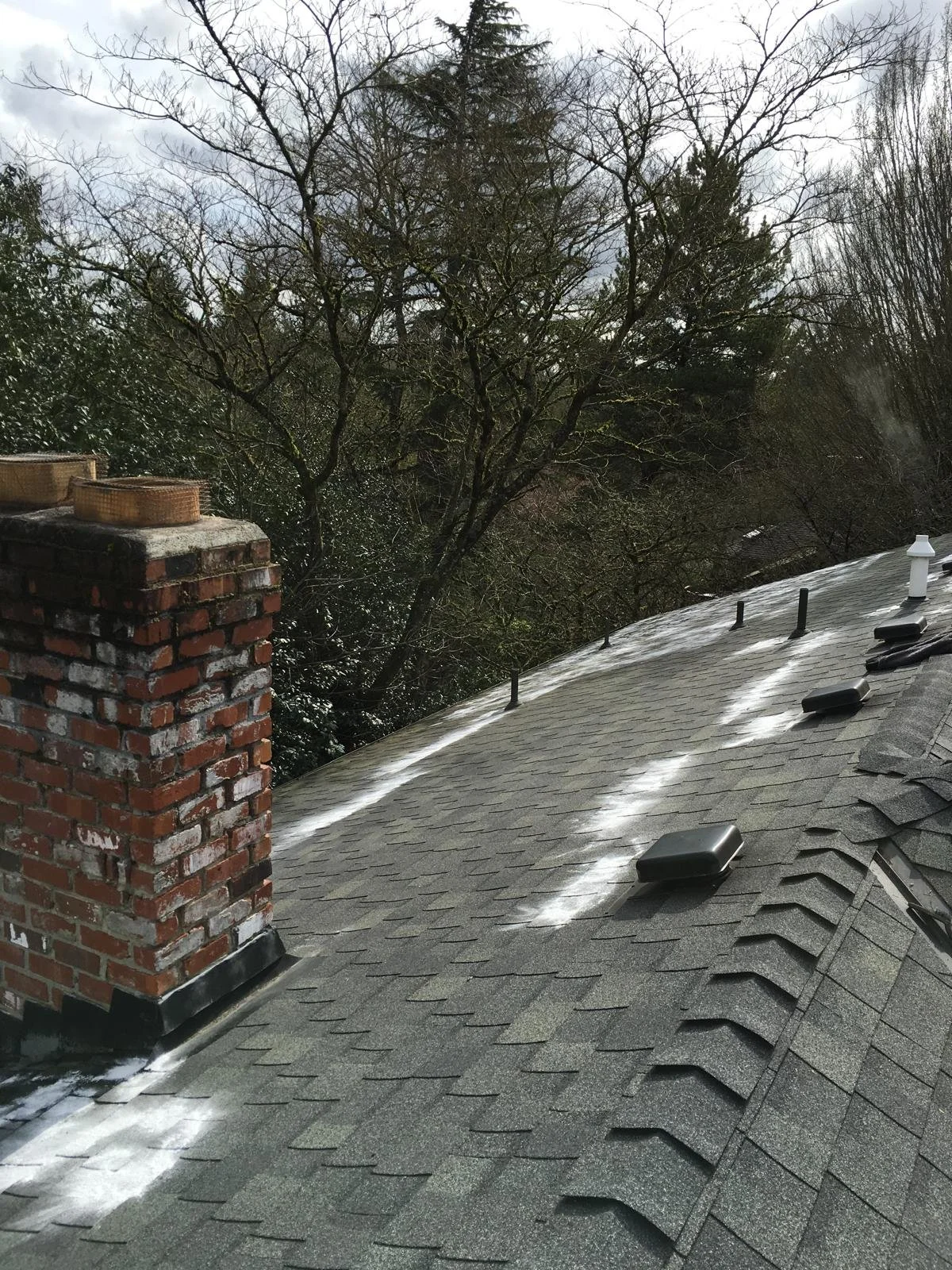 PHOTO-2026-03-30-22-02-33 4.jpg