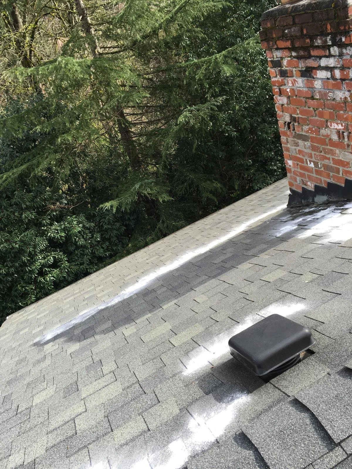 PHOTO-2026-03-30-22-02-33 2.jpg