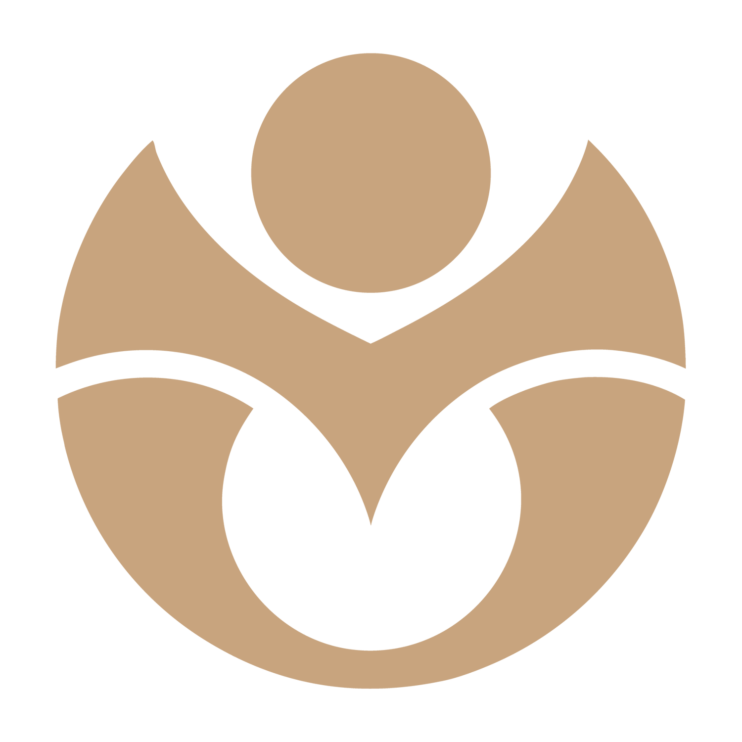Terra Australis
