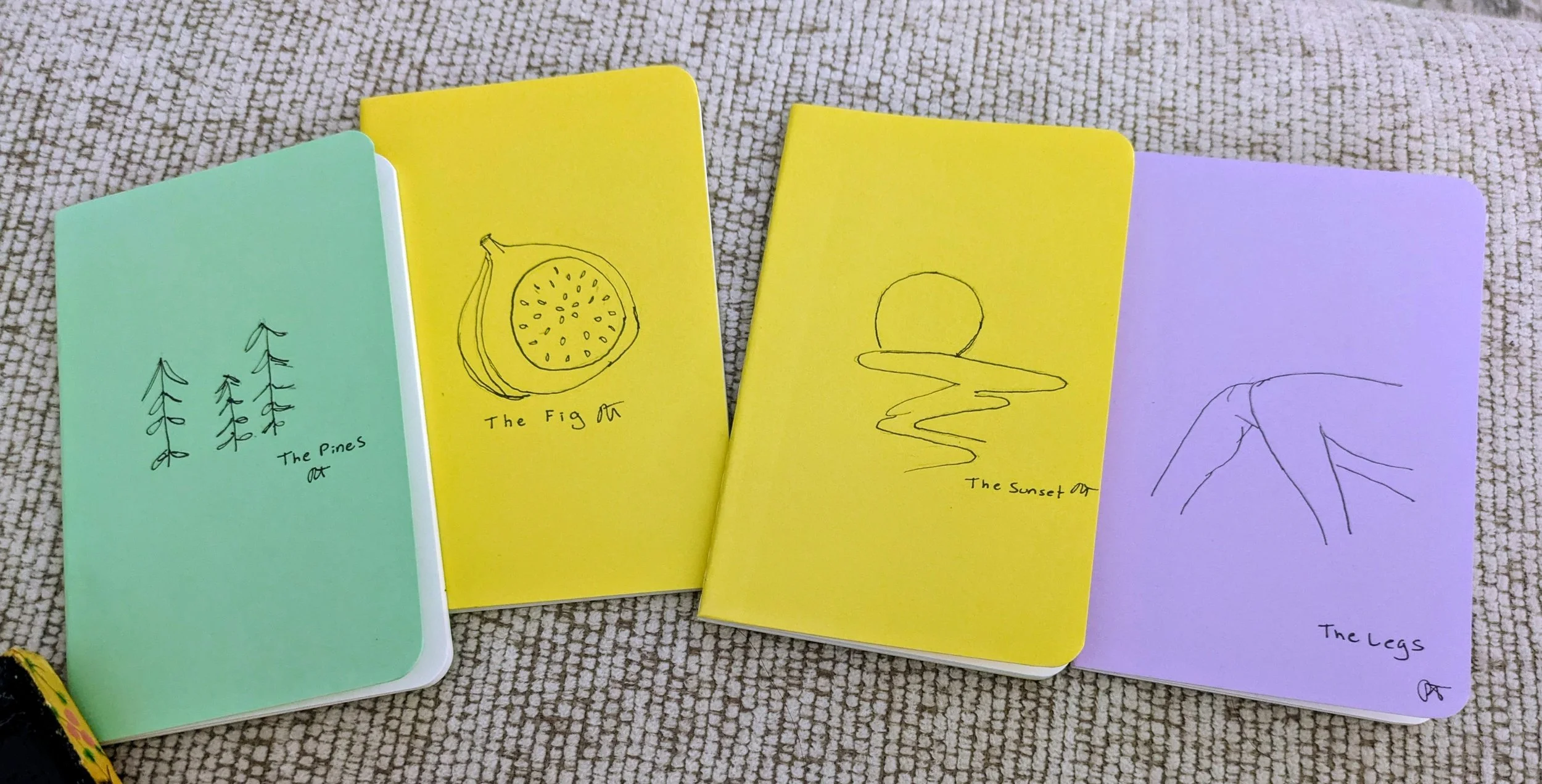 Tiny Notebooks - find them at Quimby's in Chicago or at my live events. 