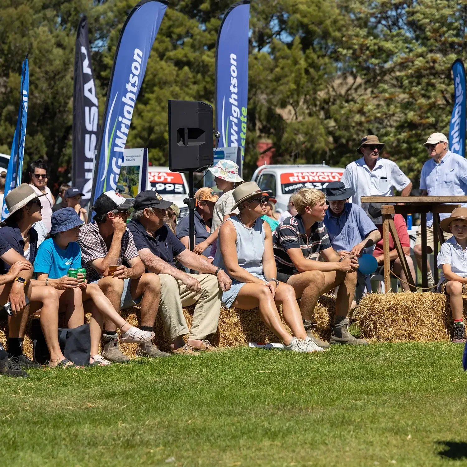 Highlight of the A&P Show Marlborough