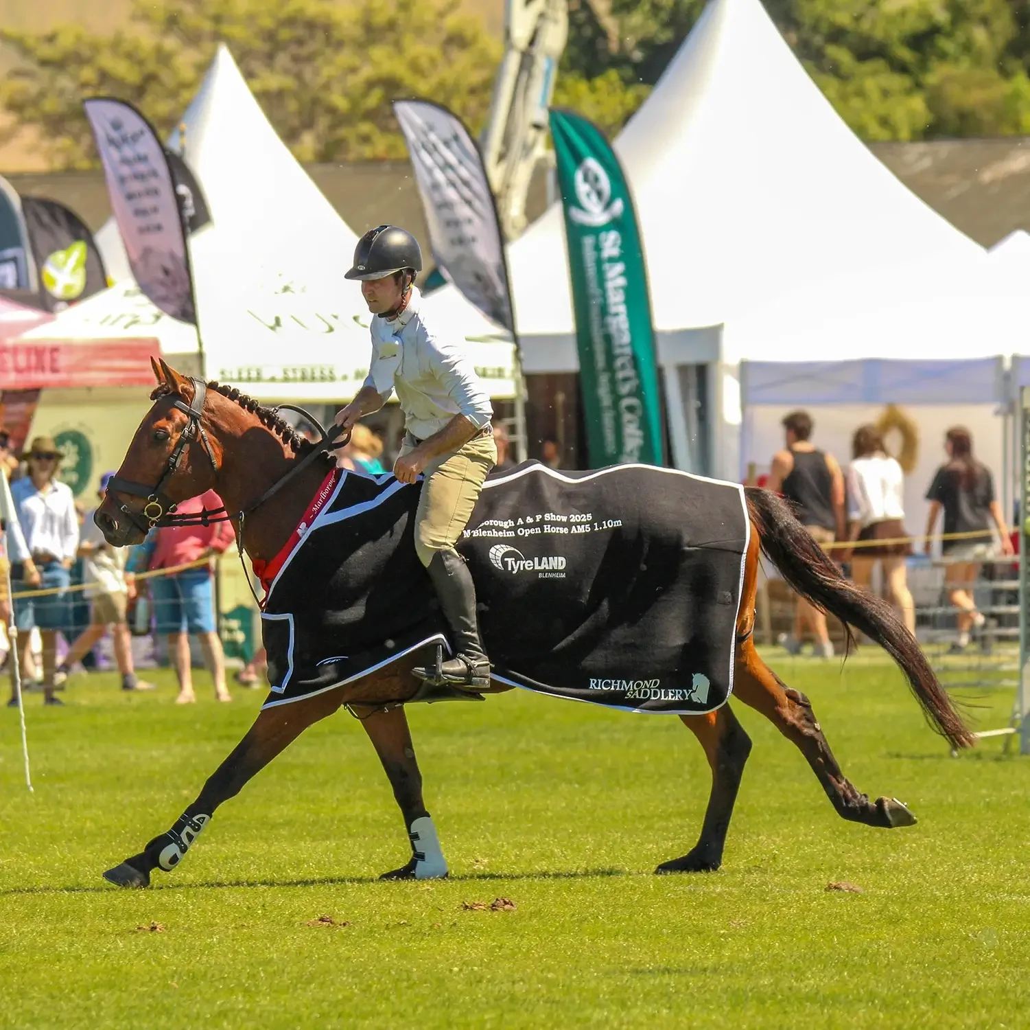 Highlight of the A&P Show Marlborough