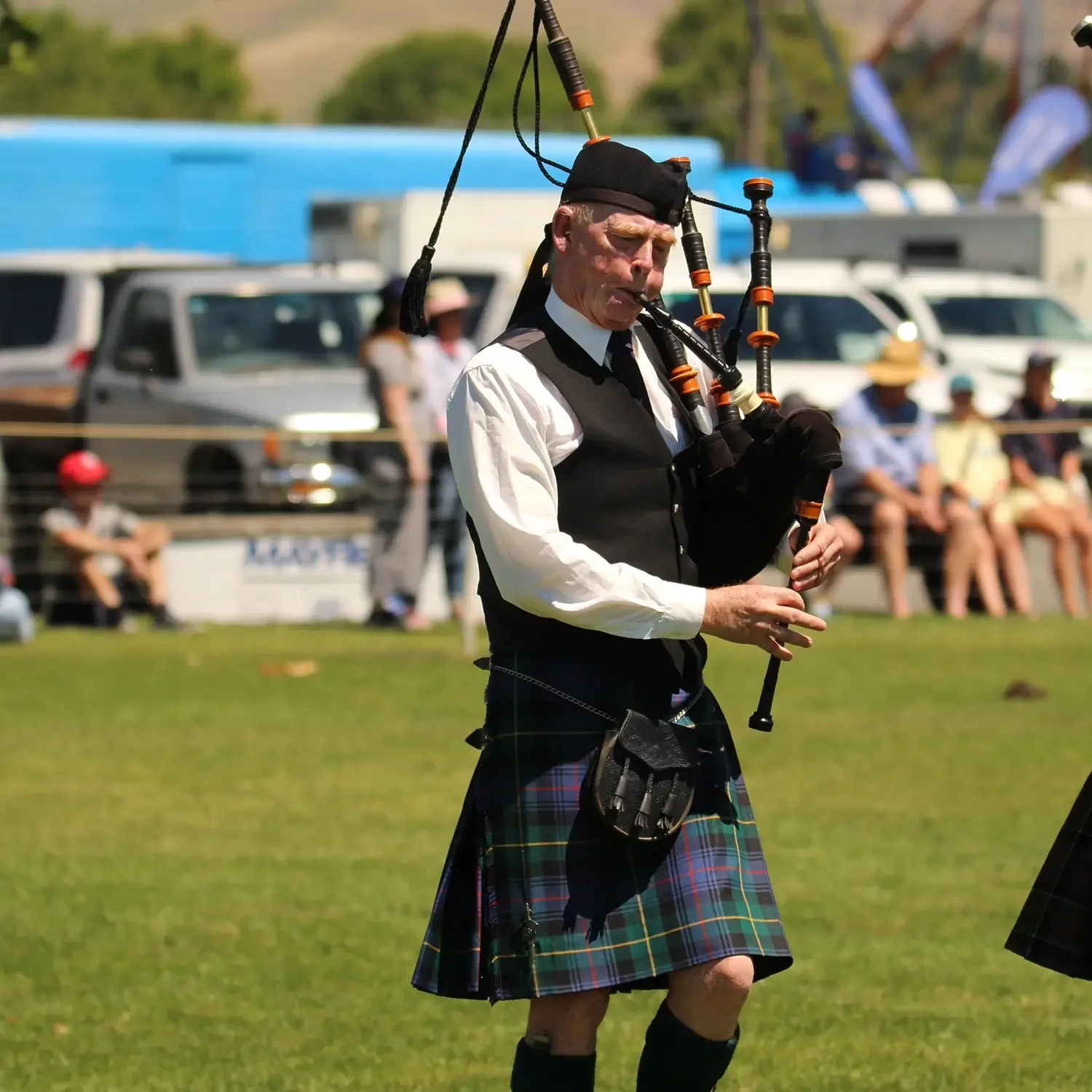 Highlight of the A&P Show Marlborough