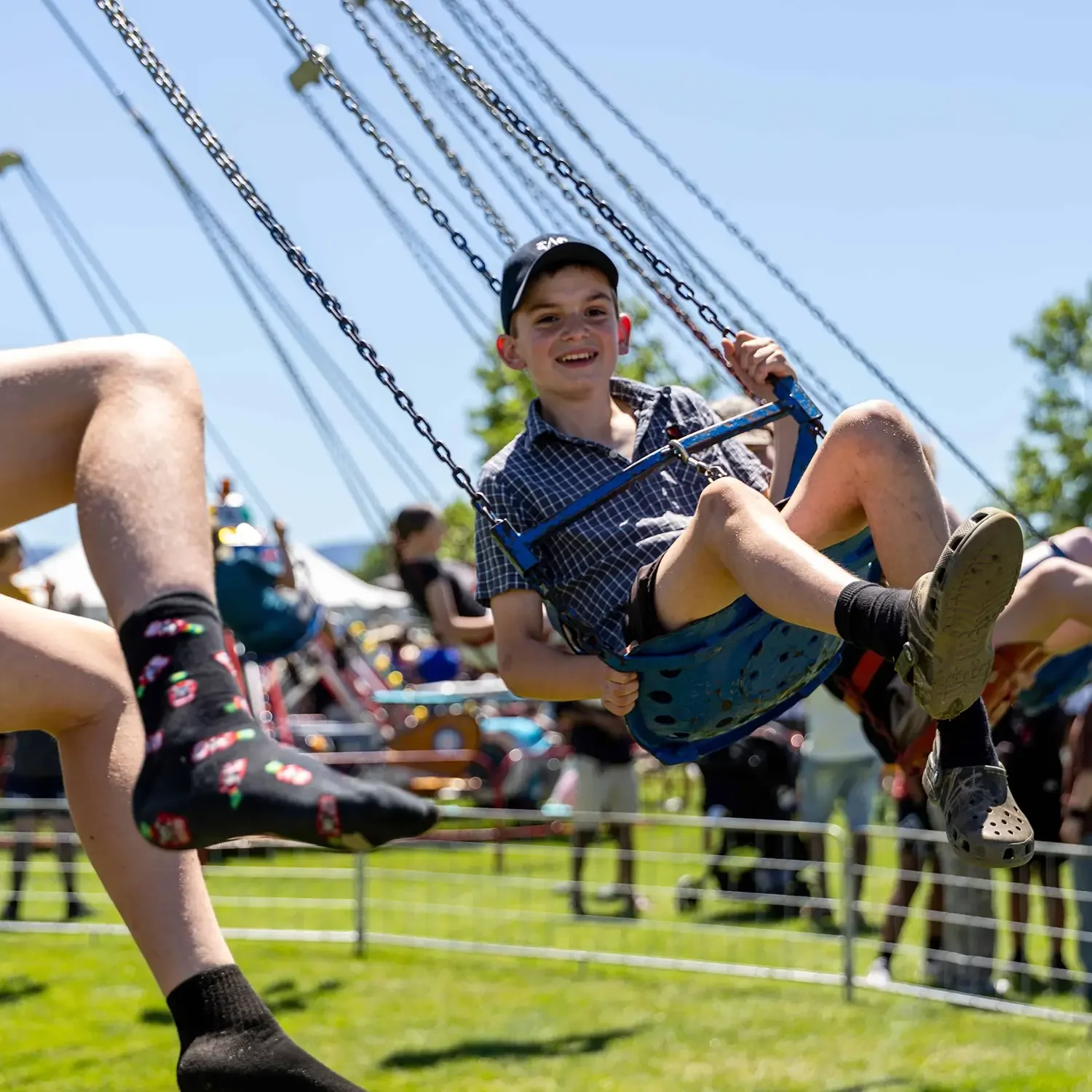 Highlight of the A&P Show Marlborough