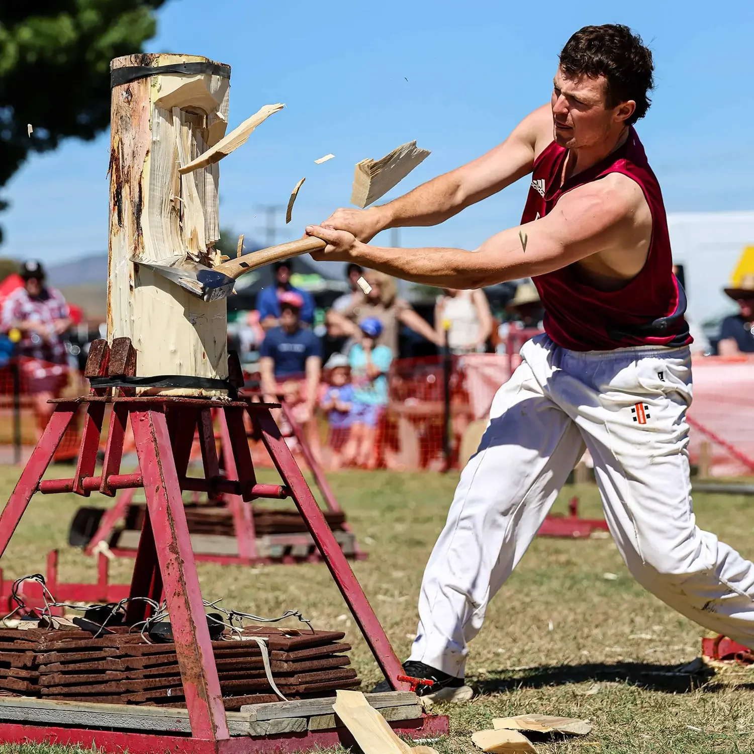Highlight of the A&P Show Marlborough