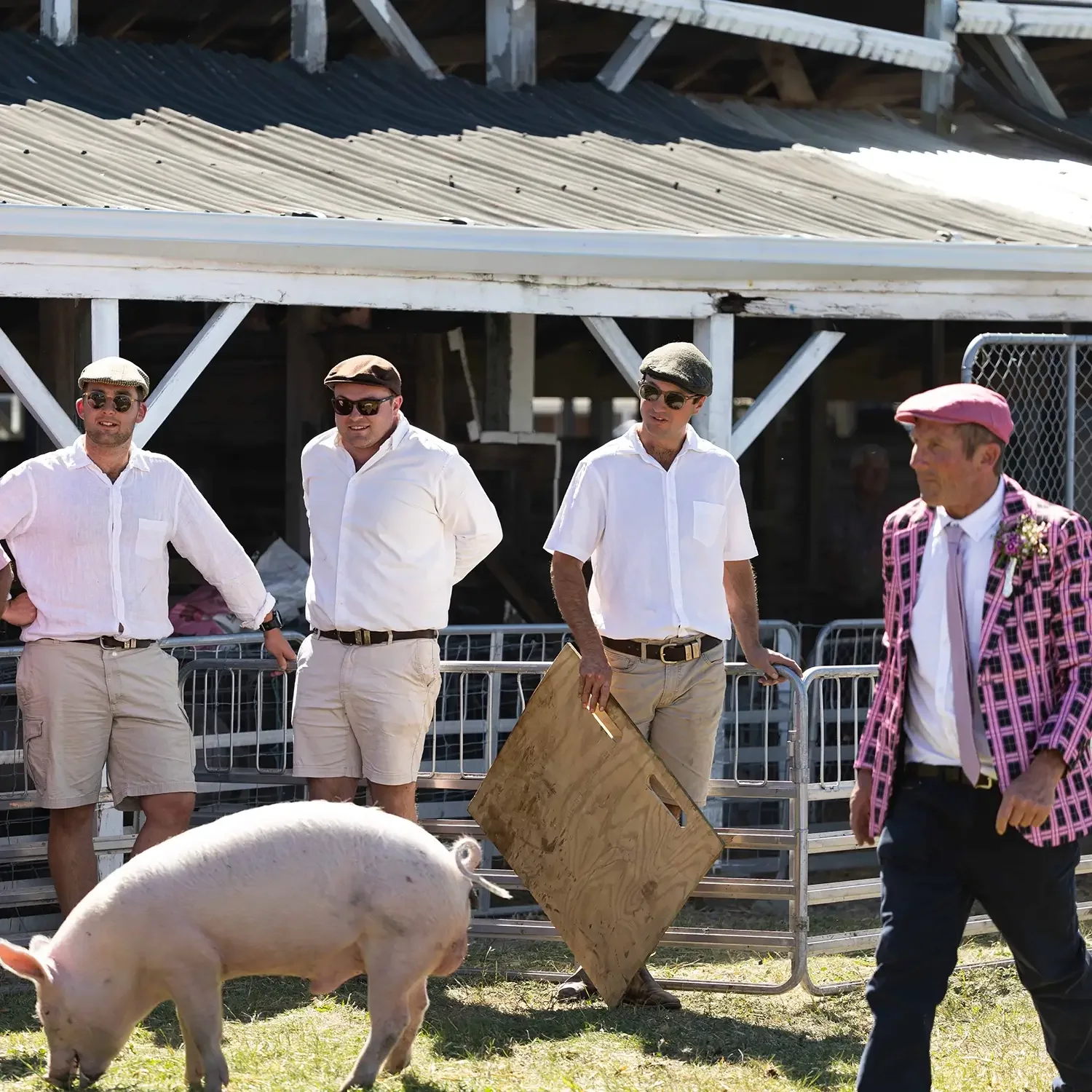 Highlight of the A&P Show Marlborough