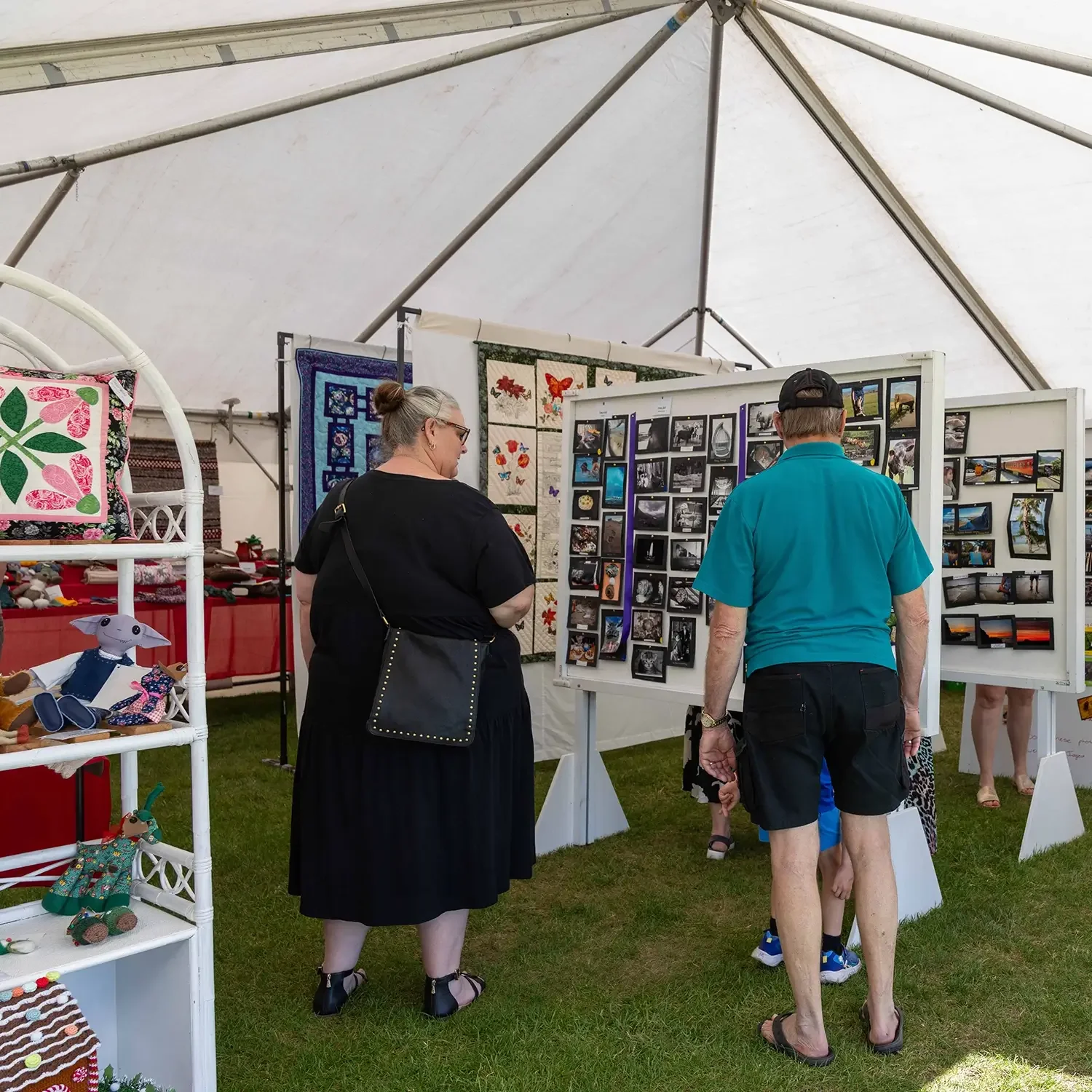 Highlight of the A&P Show Marlborough
