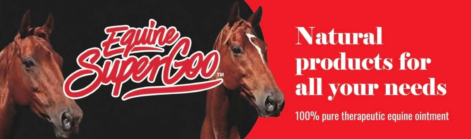 Equine supergoo.jpg