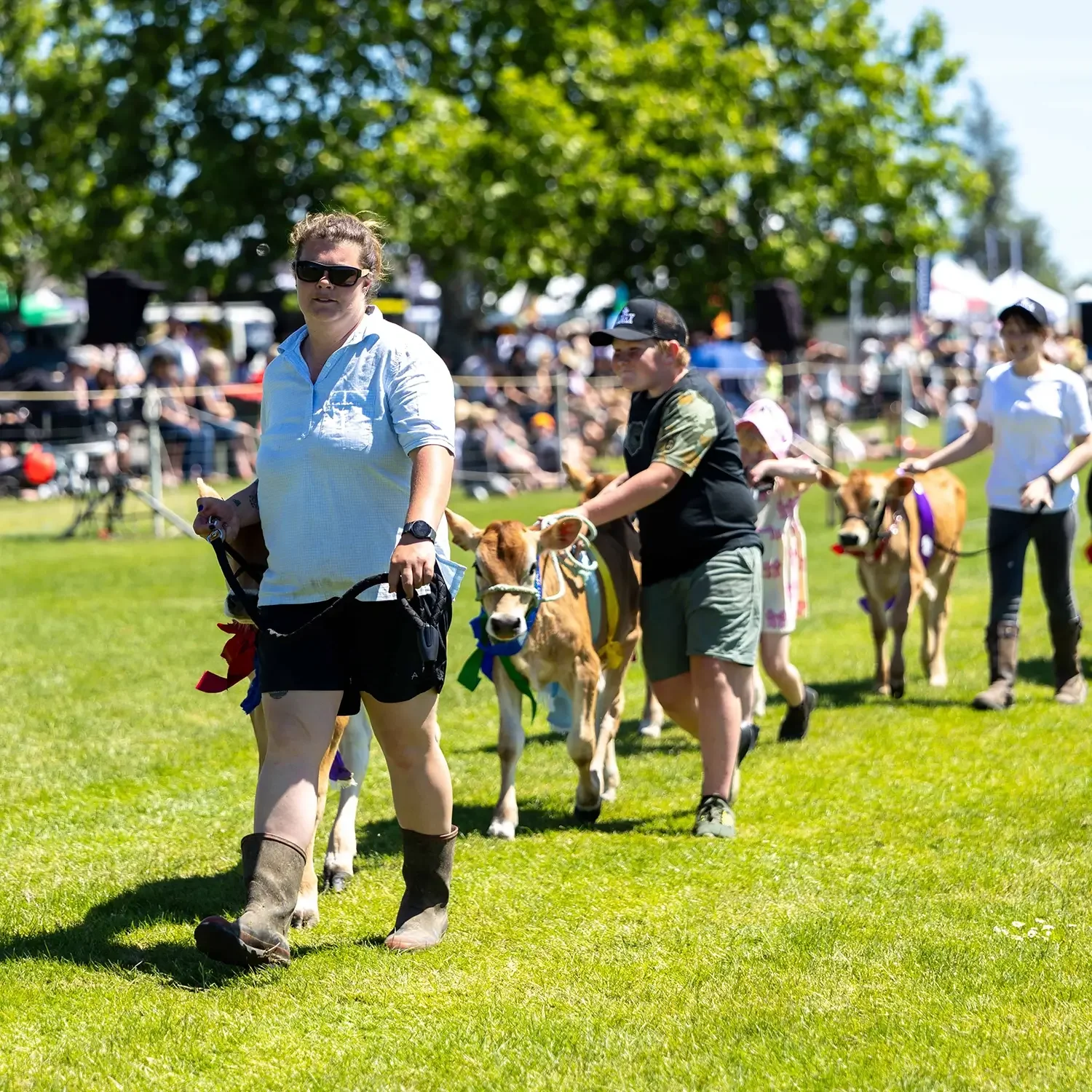  Pet Section  
Enter online or on the day 