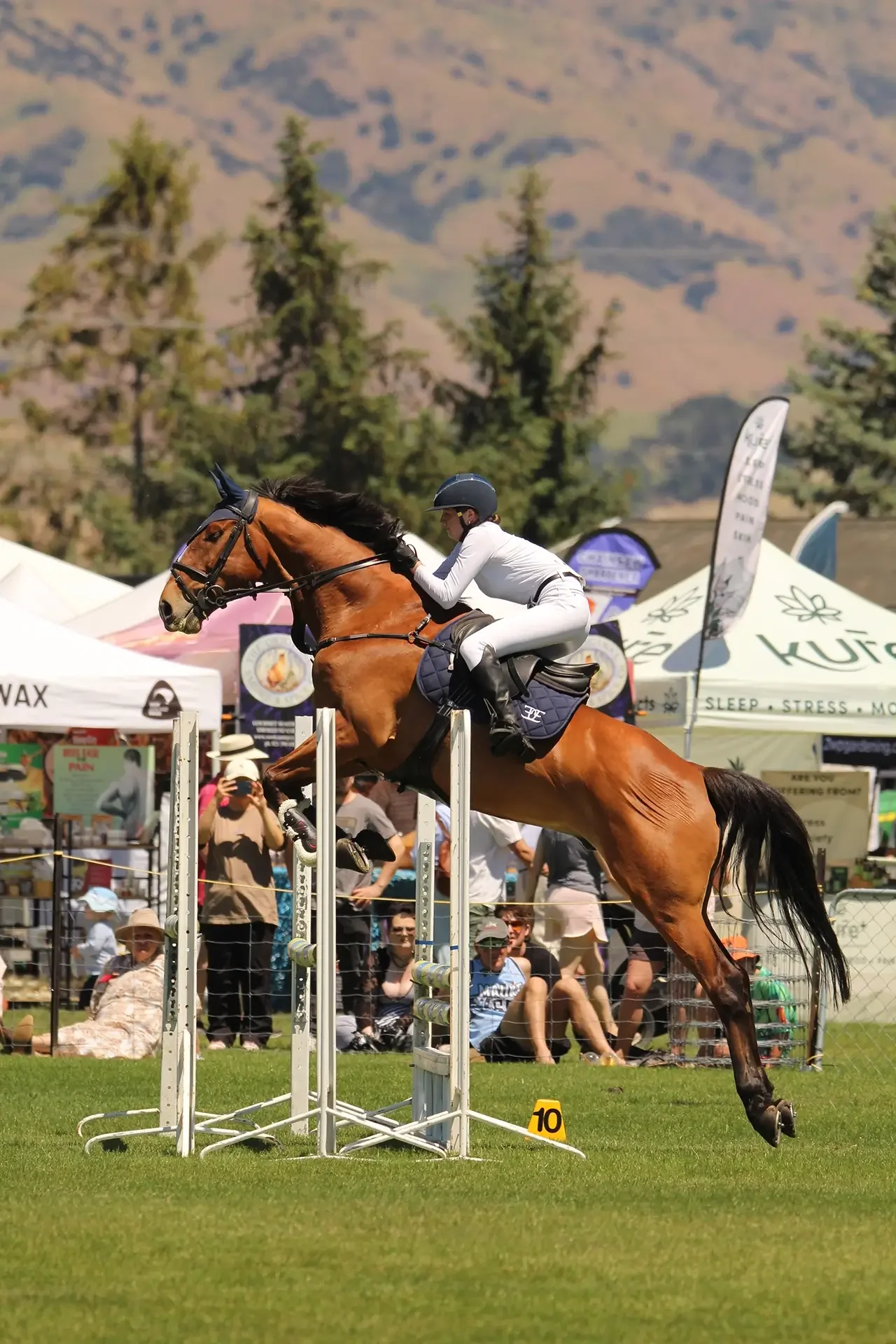 Equestrian events at the A&P Show Marlborough