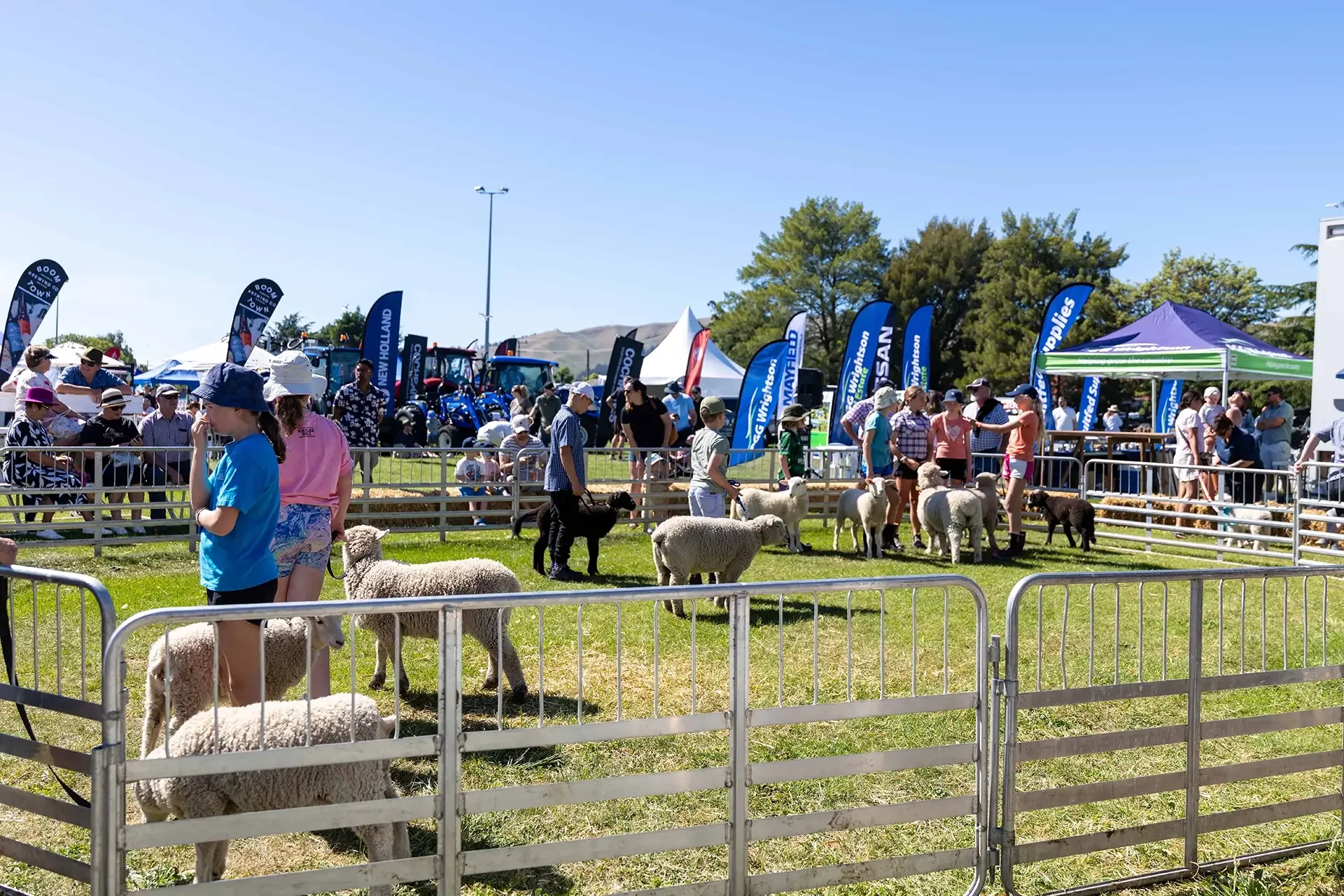 A&P Show Marlborough - Competitions