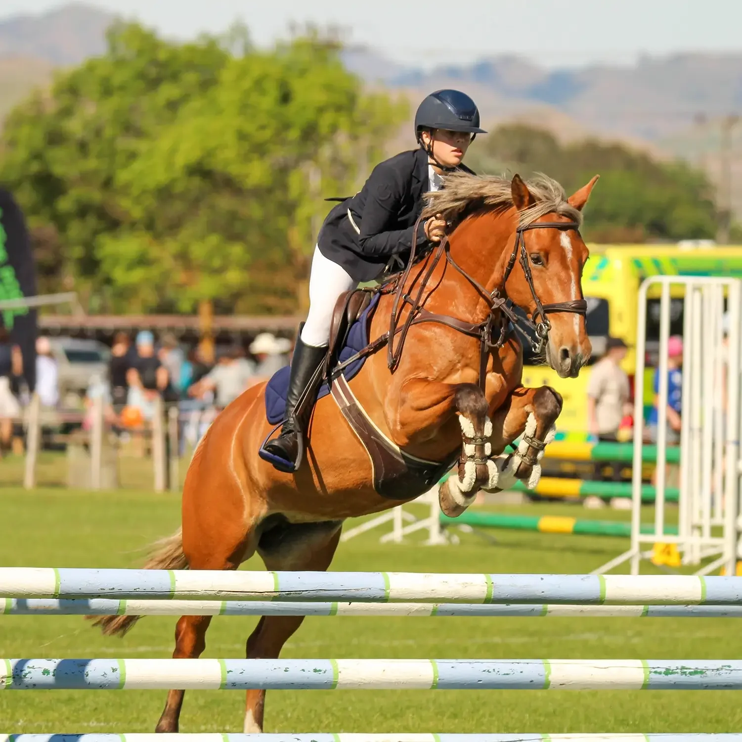  Equestrian  
A two-day competition running Friday 6 November and Saturday 7 November 2026