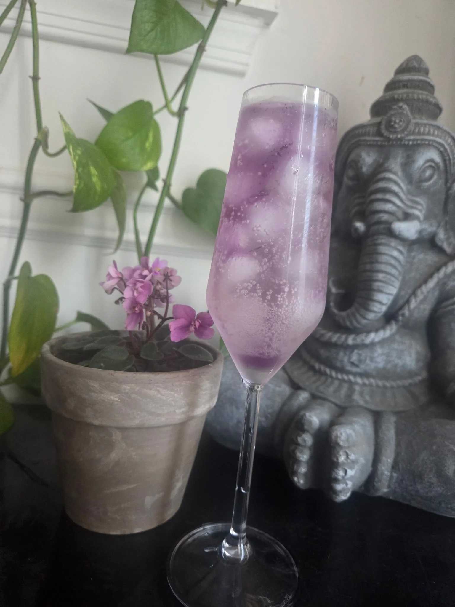 A tall, clear champagne flute filled with a purple, sparkling beverage and ice cubes, placed on a dark surface. In the background, there is a potted plant with green leaves and pink flowers, and a decorative stone elephant head sculpture with large e