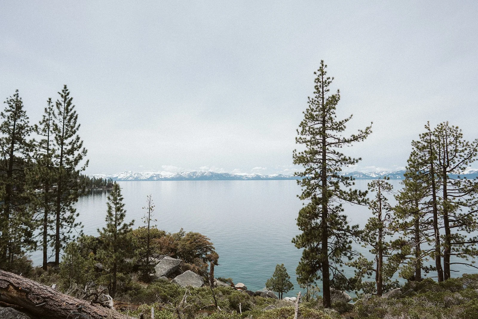 Lake Tahoe shoreline with pine trees and snow-capped Sierra Nevada mountains — AJ Photography