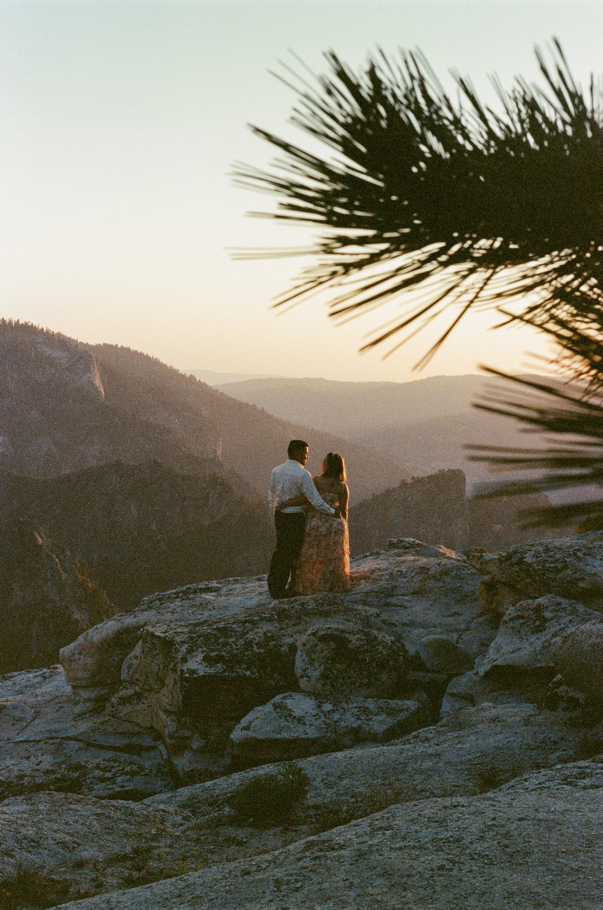 35film-2.jpg