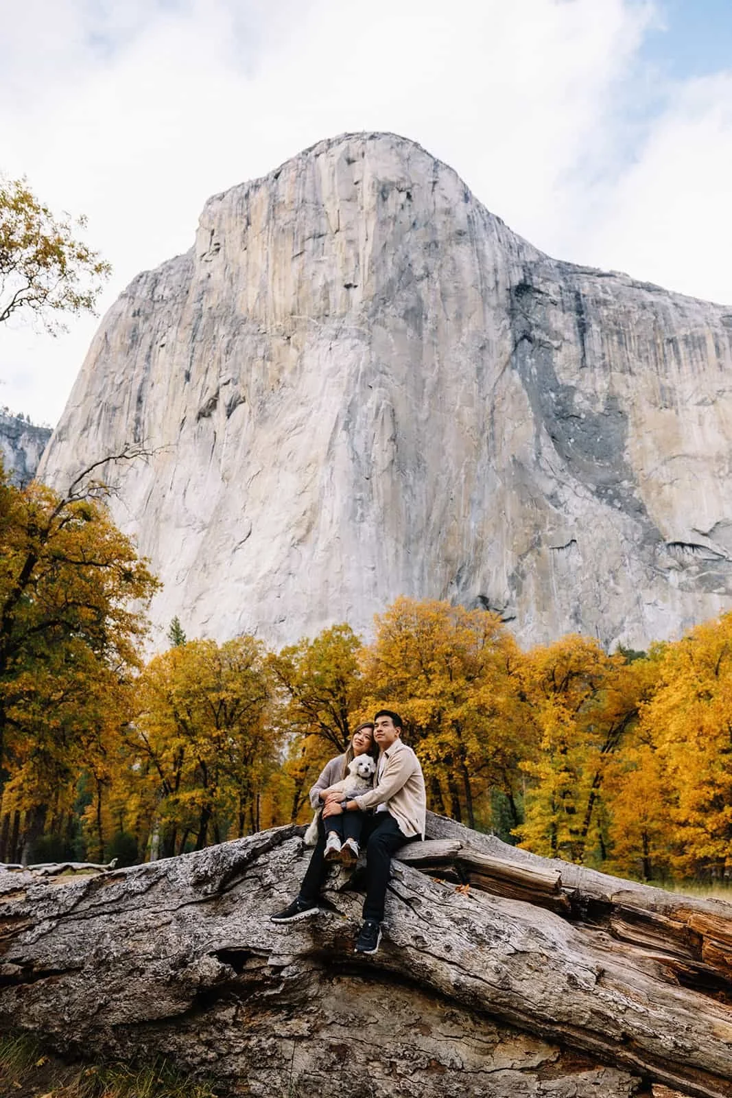 Couple sitting on a fallen log with their dog in Cathedral Meadow, Yosemite, granite cliffs and colorful autumn trees behind them