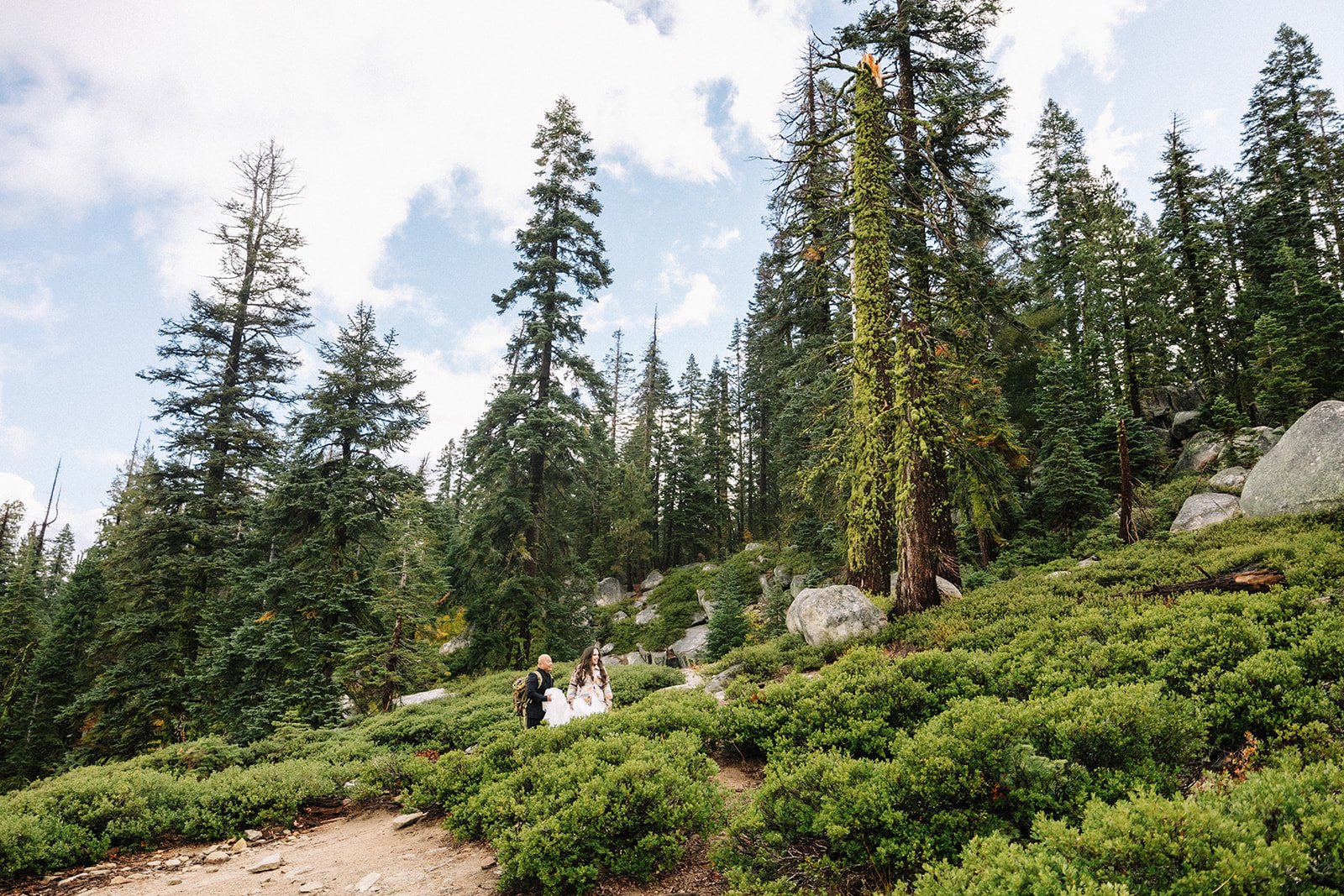 Bride and groom walking together through Yosemite Valley pine forest — AJ Photography