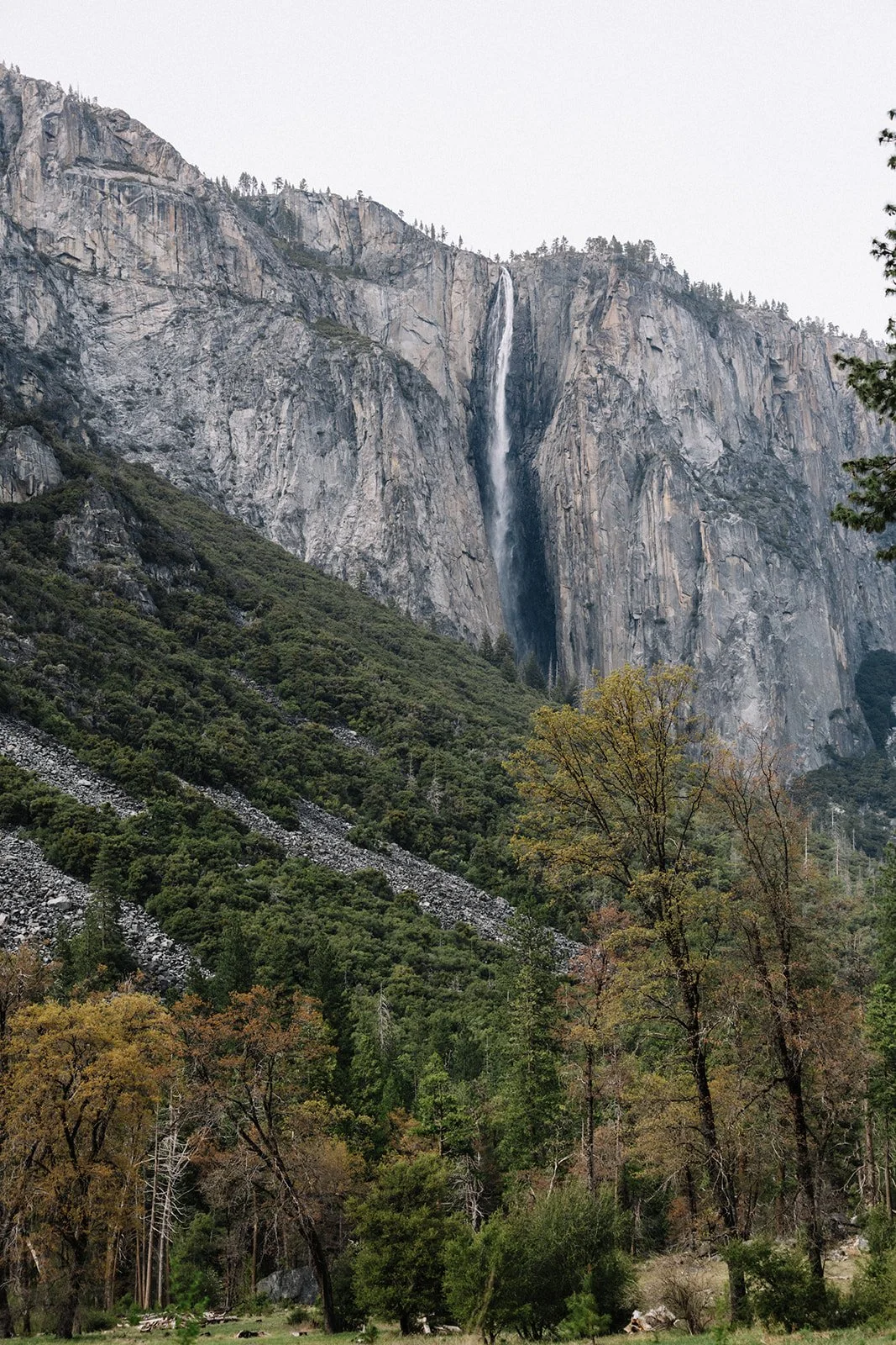 engagement session Yosemite granite cliffs background (1).jpg