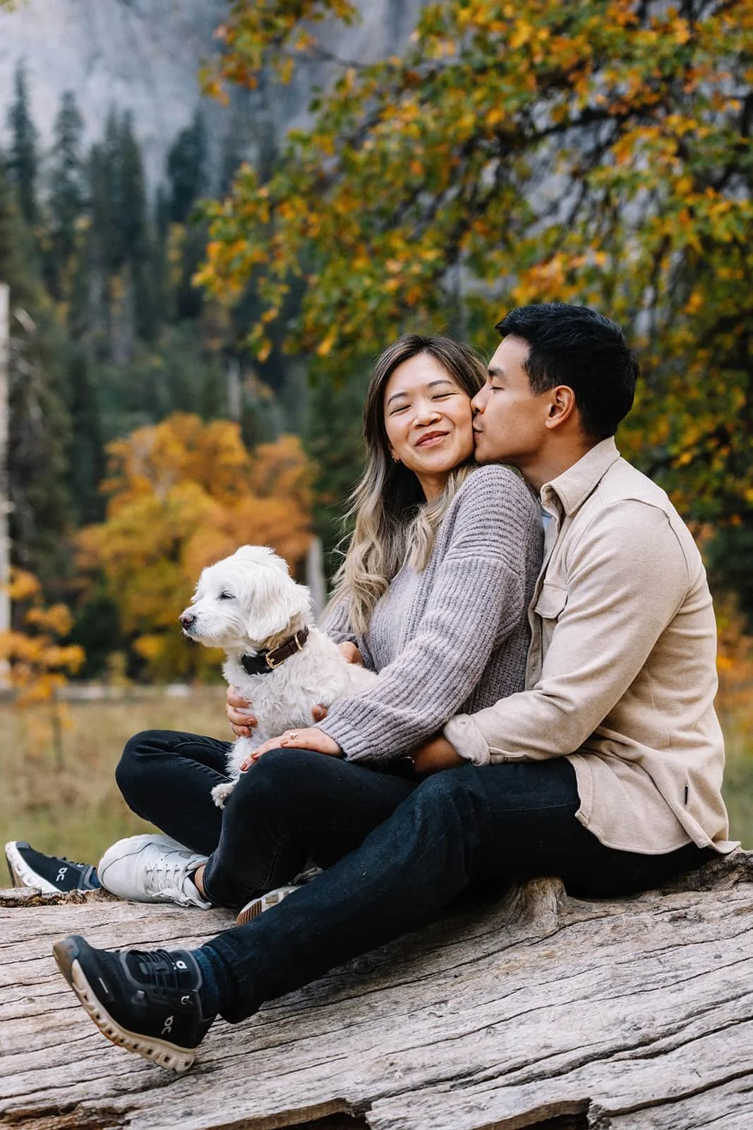 Couple sitting on a log in Cathedral Valley during a Yosemite fall session, woman holding their small dog as her partner kisses her cheek amid colorful autumn trees