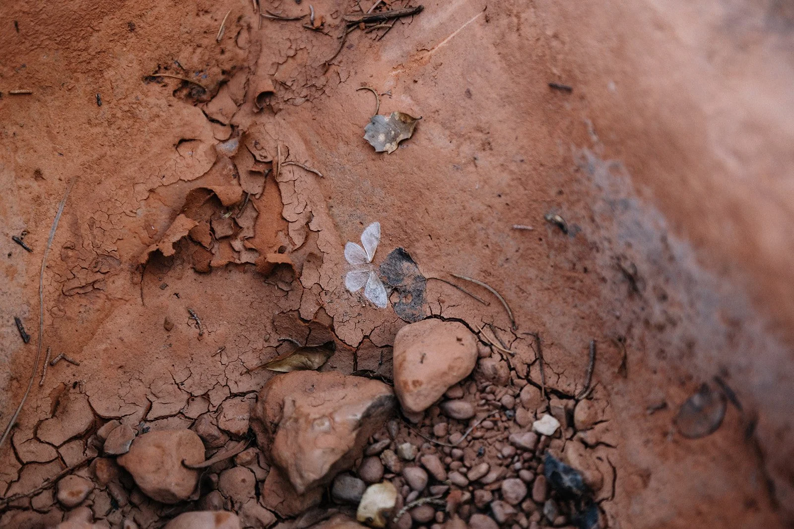 off-road Sedona engagement session adventure (1).jpg