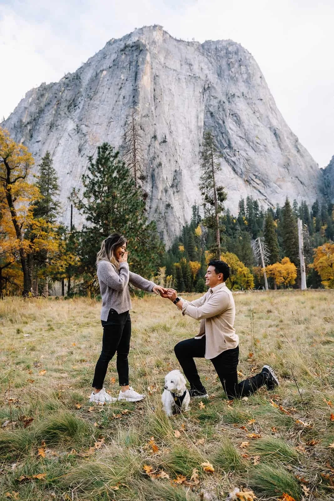 Man proposing to his partner in Cathedral Valley in Yosemite, their dog sitting nearby with mountains and trees in the background