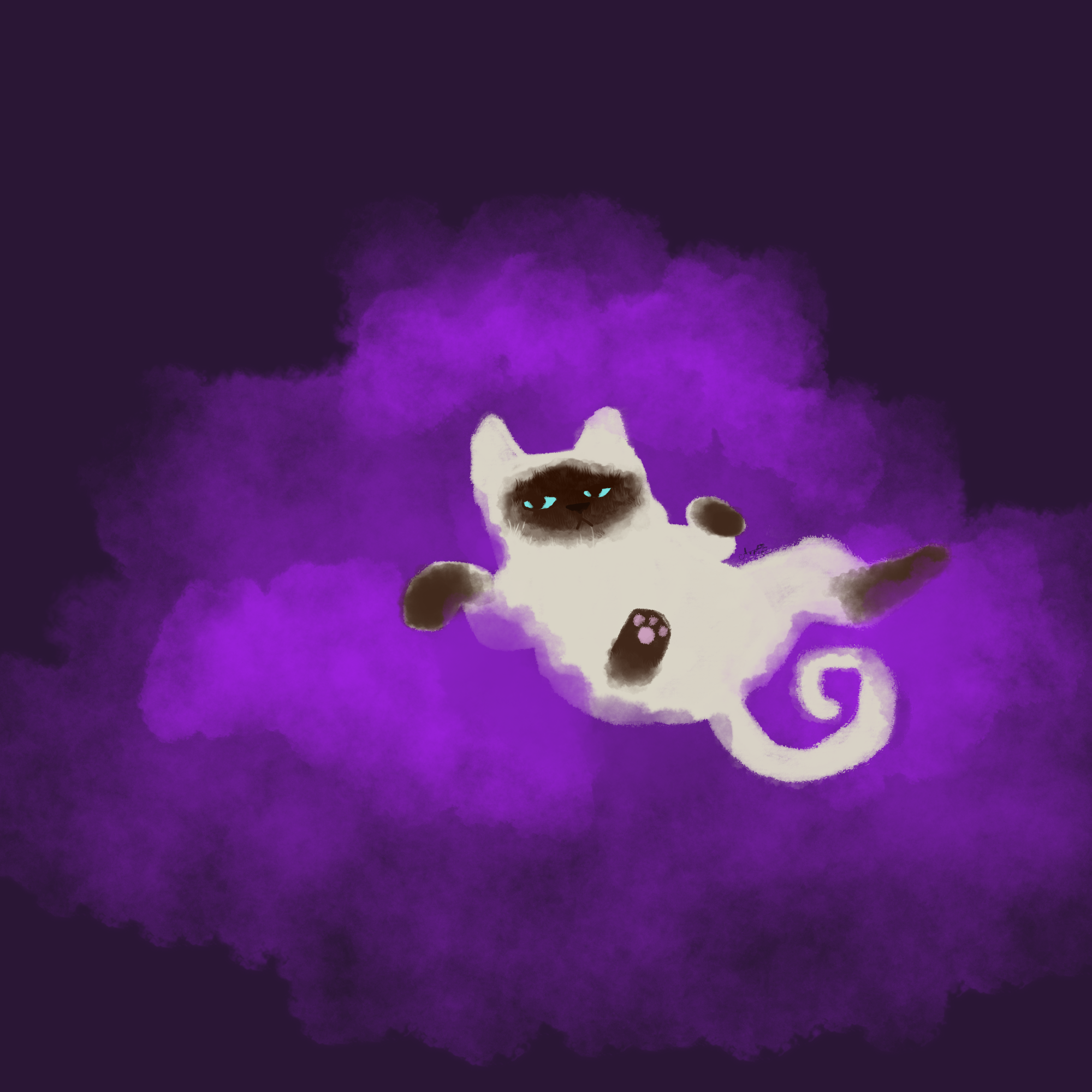 Snug.png