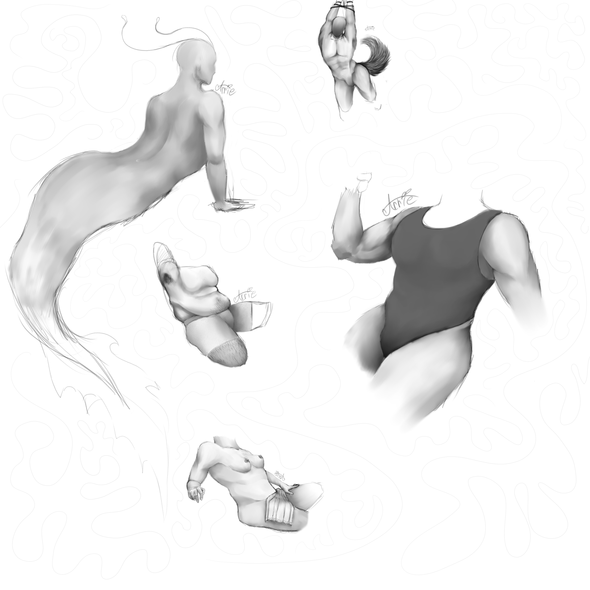 sketch anatomy.png