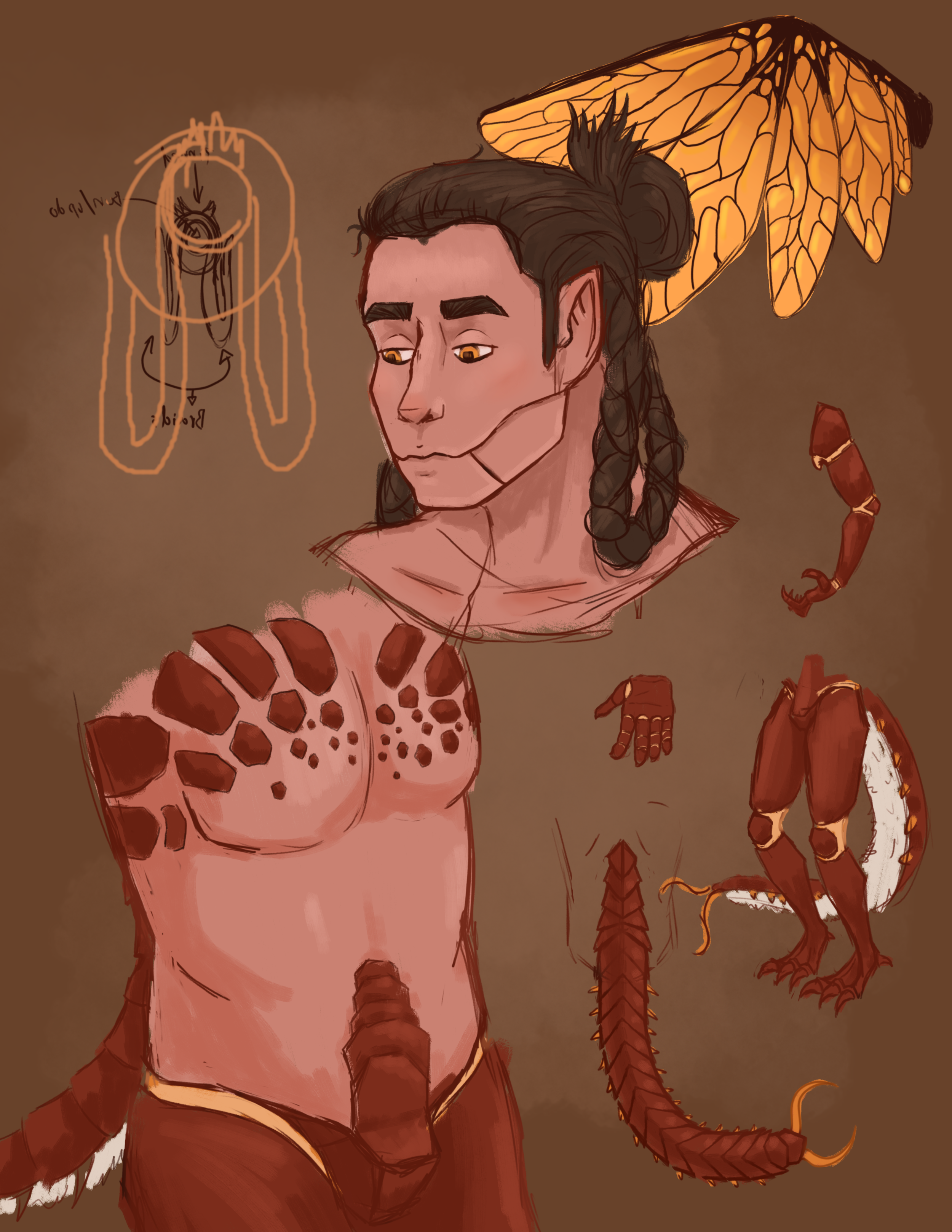 Bug King design 2026.png