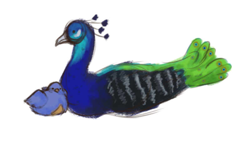 birds closer.png