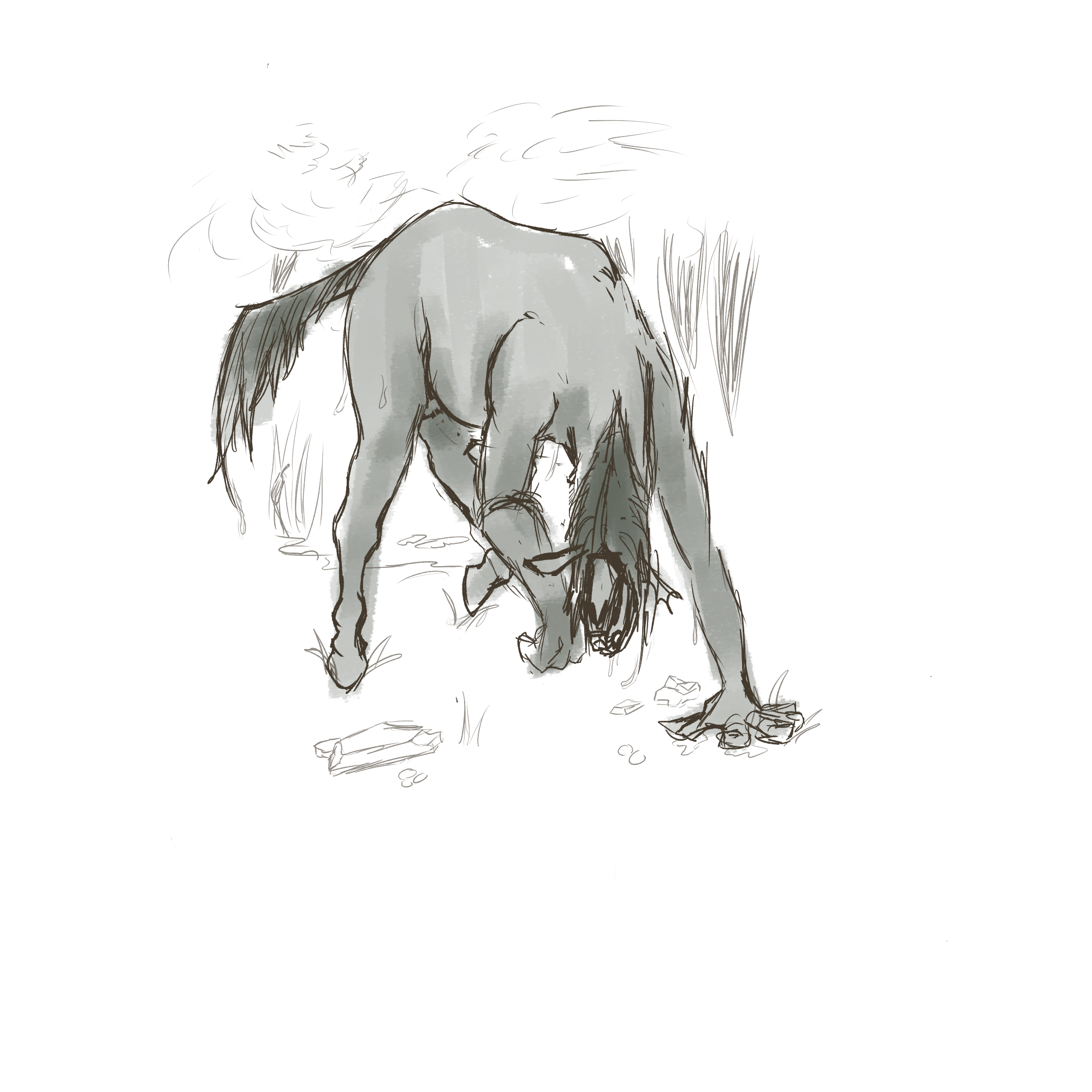 horse man.png