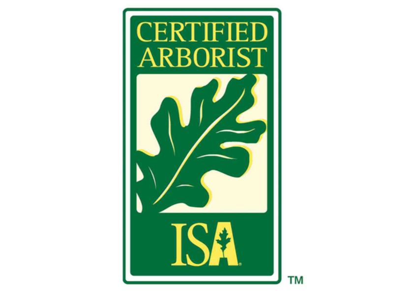 Certification logo for a certified arborist from ISA, featuring a green oak leaf and the words 'Certified Arborist'.