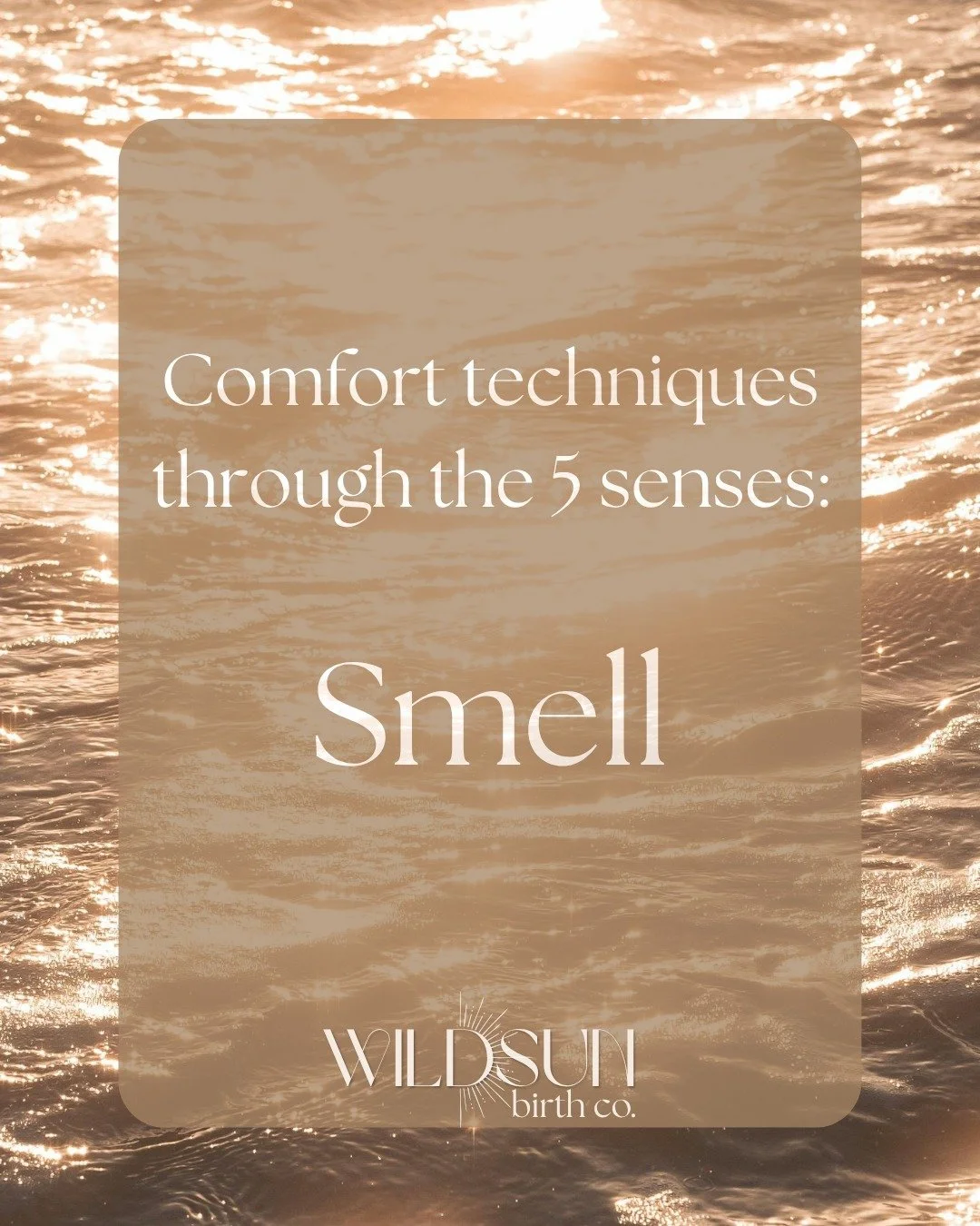 Comfort through the 5 senses: smell