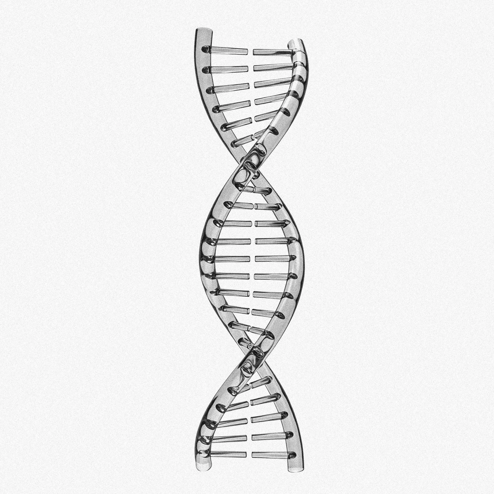 A metallic model of a DNA double helix structure.