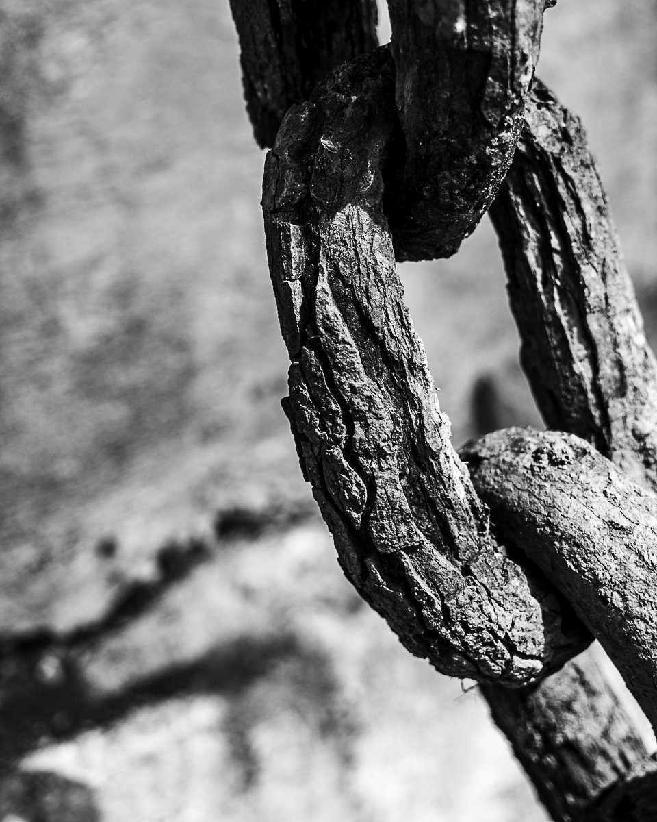 Close-up of a weathered, rusty metal chain link with a rough texture, in black and white.