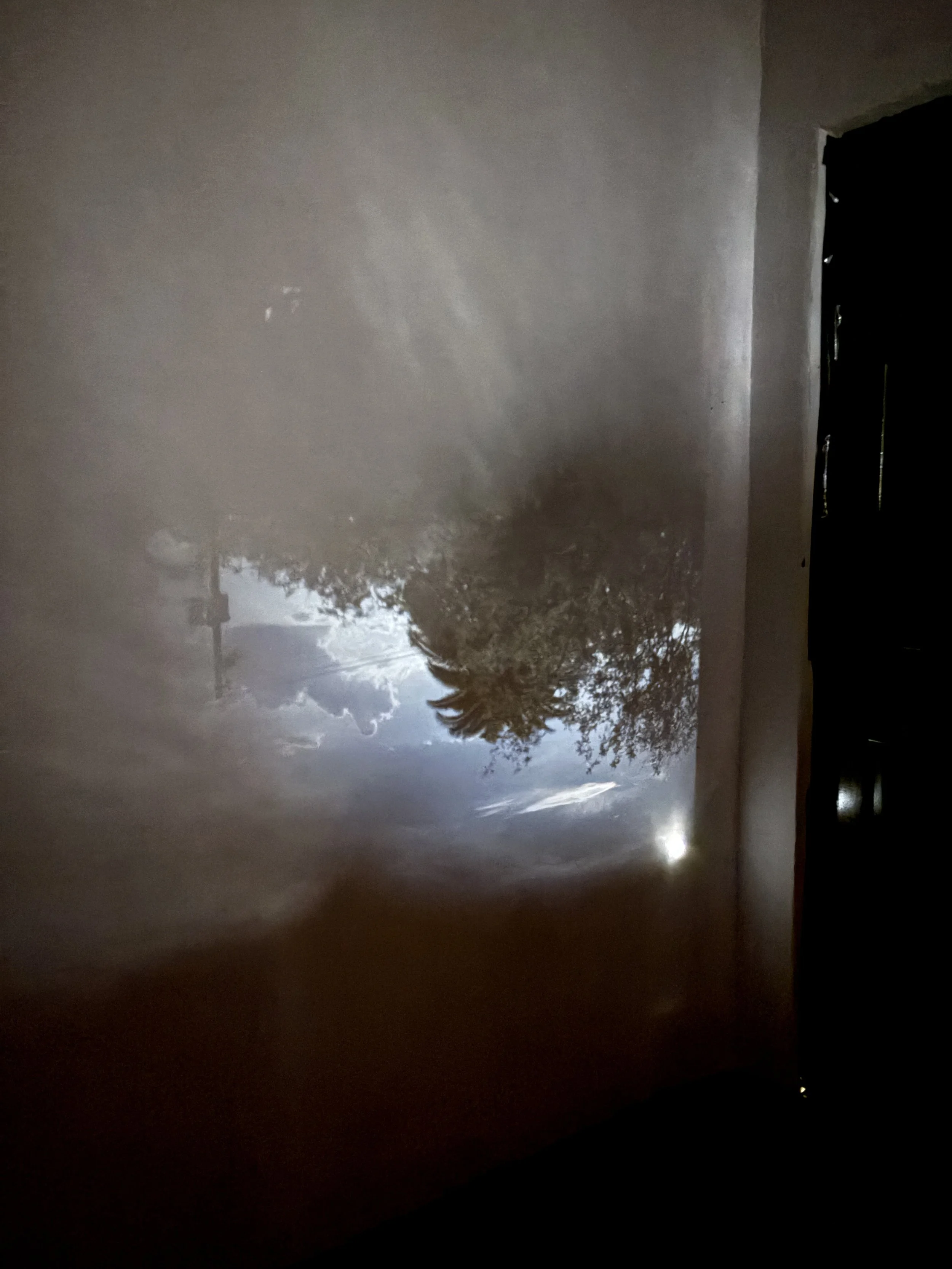 Dark Room12 by Emmy Mickevicius.jpeg