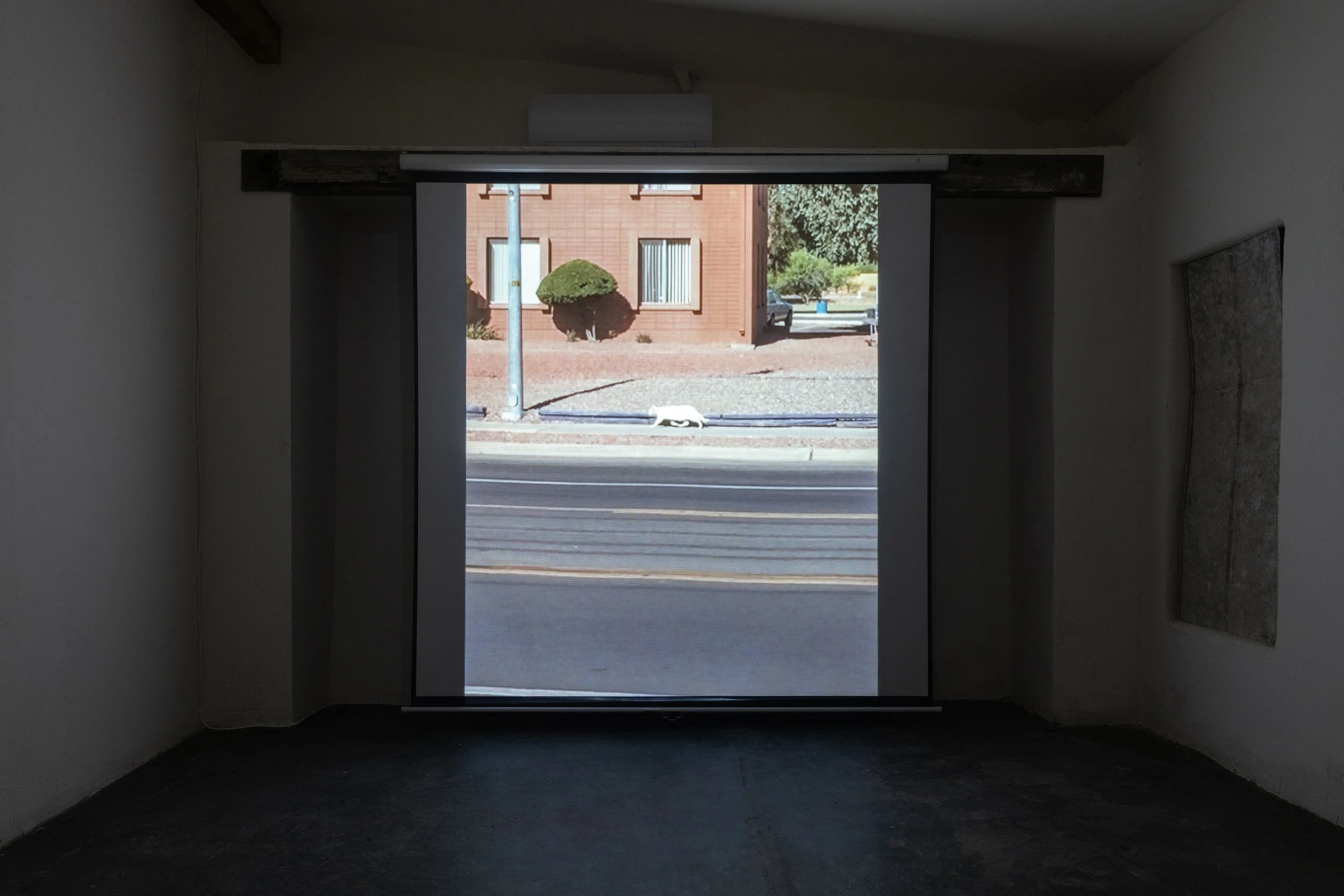 The Point,
2019 (filmed 2016-2018), Digital video
20 minutes, 37 seconds
