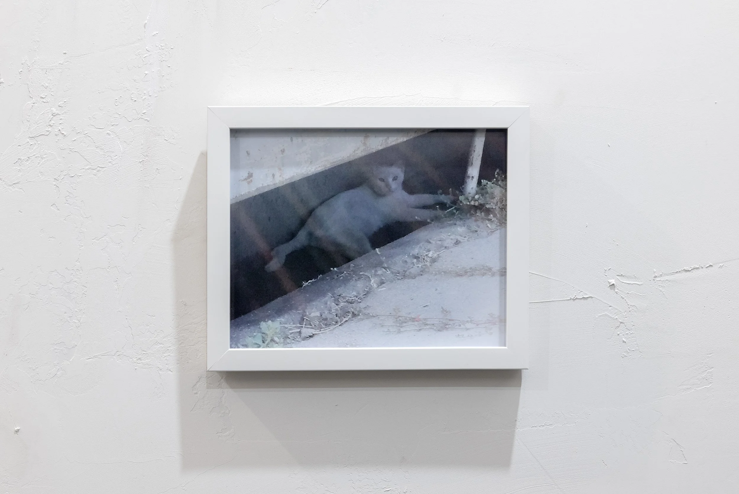 Untitled Photograph (September 19, 2017), Printed 2026, Giclée print, 8x10 inches