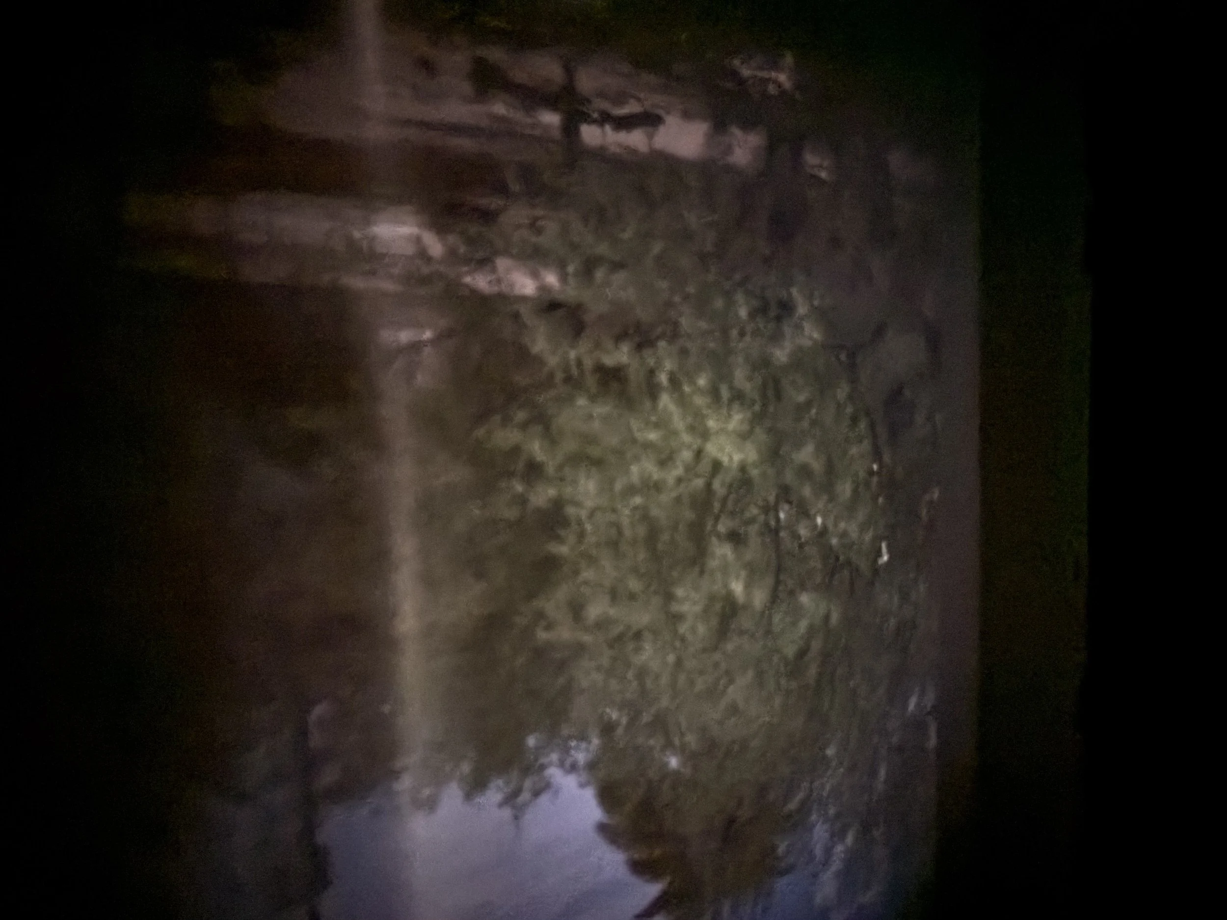 Dark Room5.jpeg