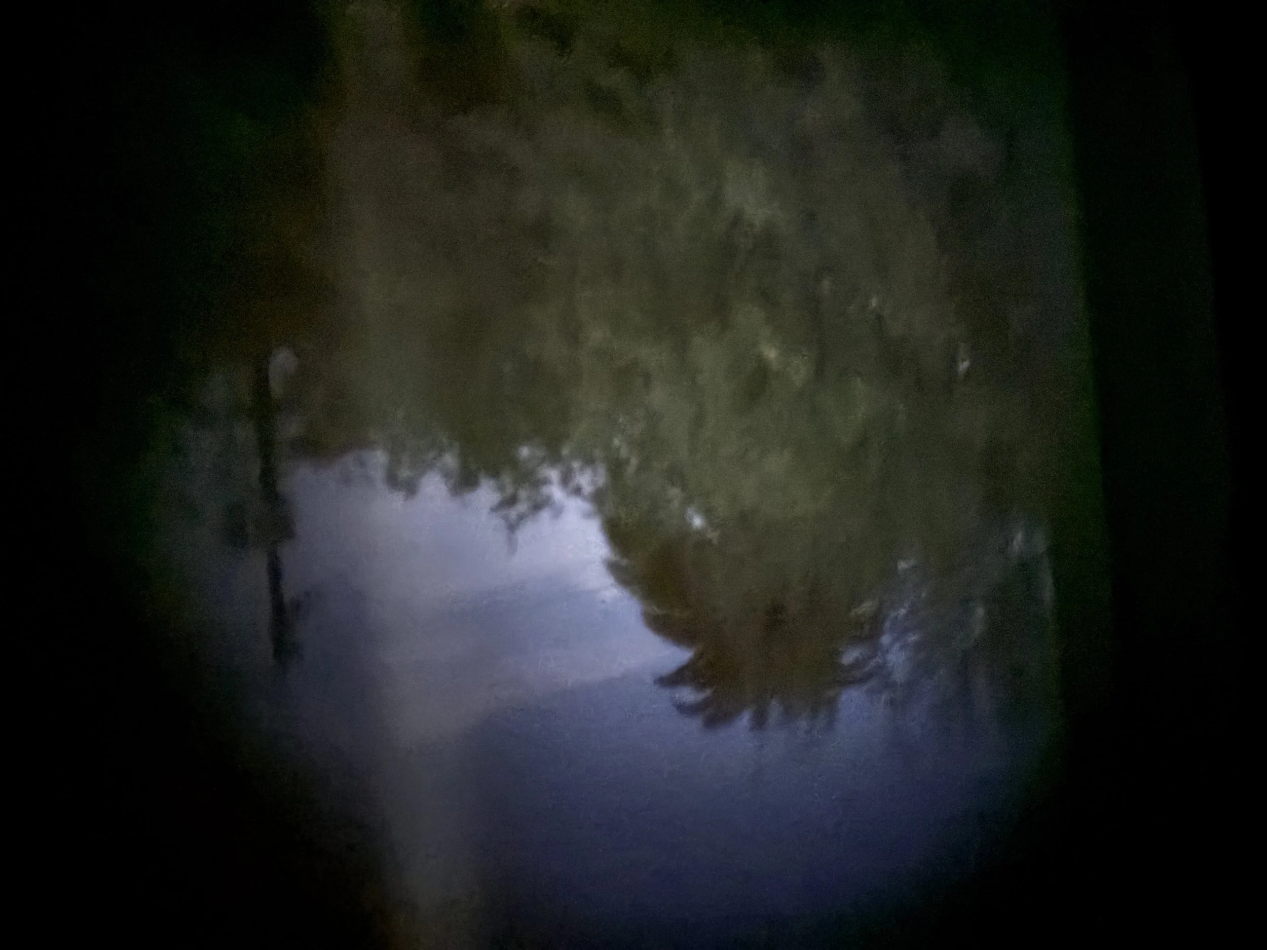 Dark Room6.jpeg