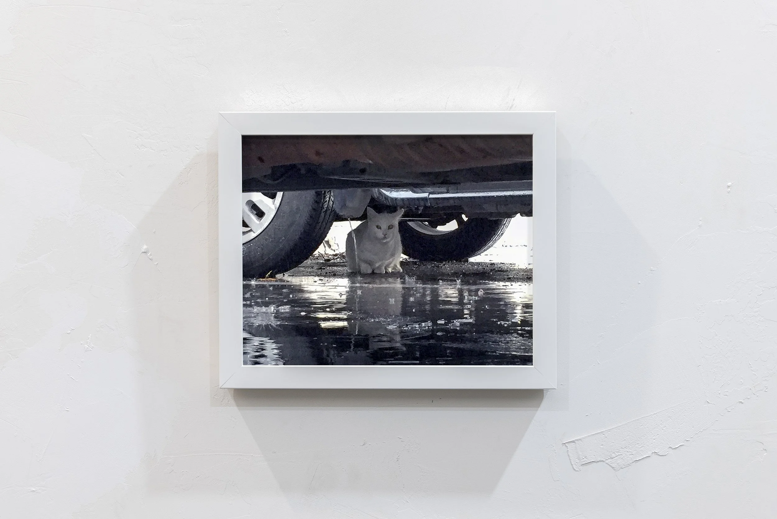 Untitled Photograph (December 22, 2016)
Printed 2026, Giclée print, 8x10 Inches