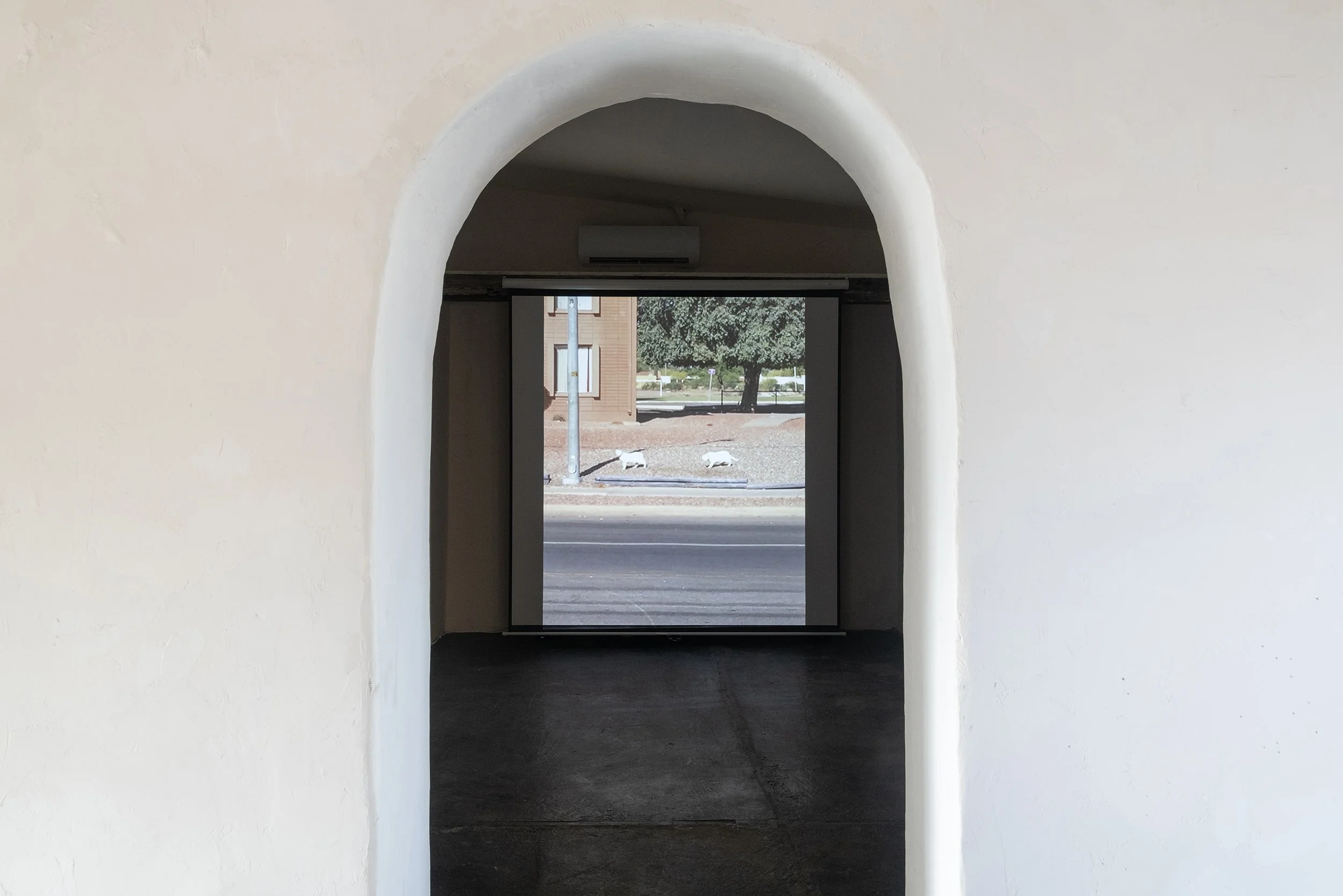 Alex Von Bergen,  The Point, April 3-May 2, 2026