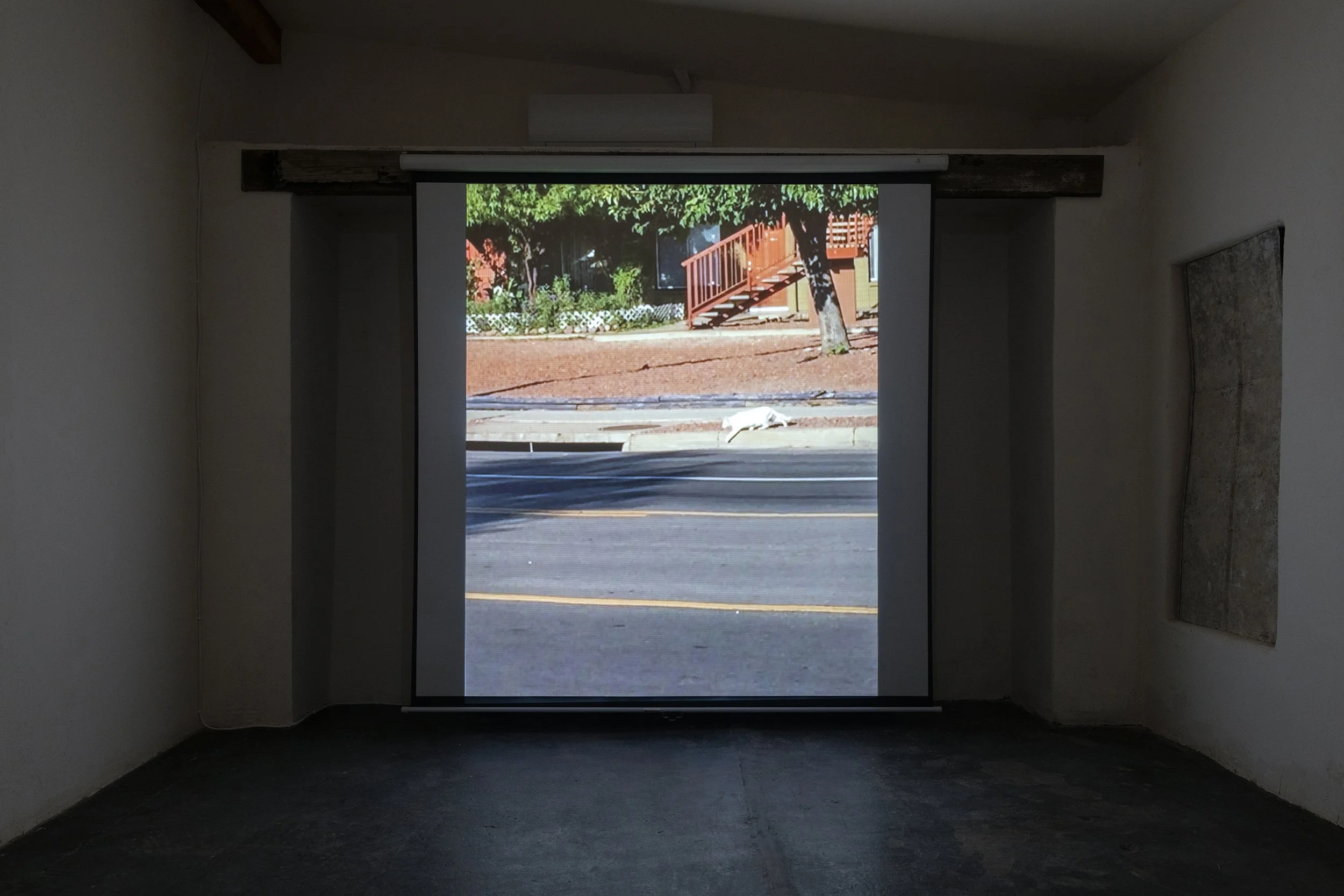 The Point,  2019 (filmed 2016-2018)
Digital video, 20 minutes, 37 seconds
