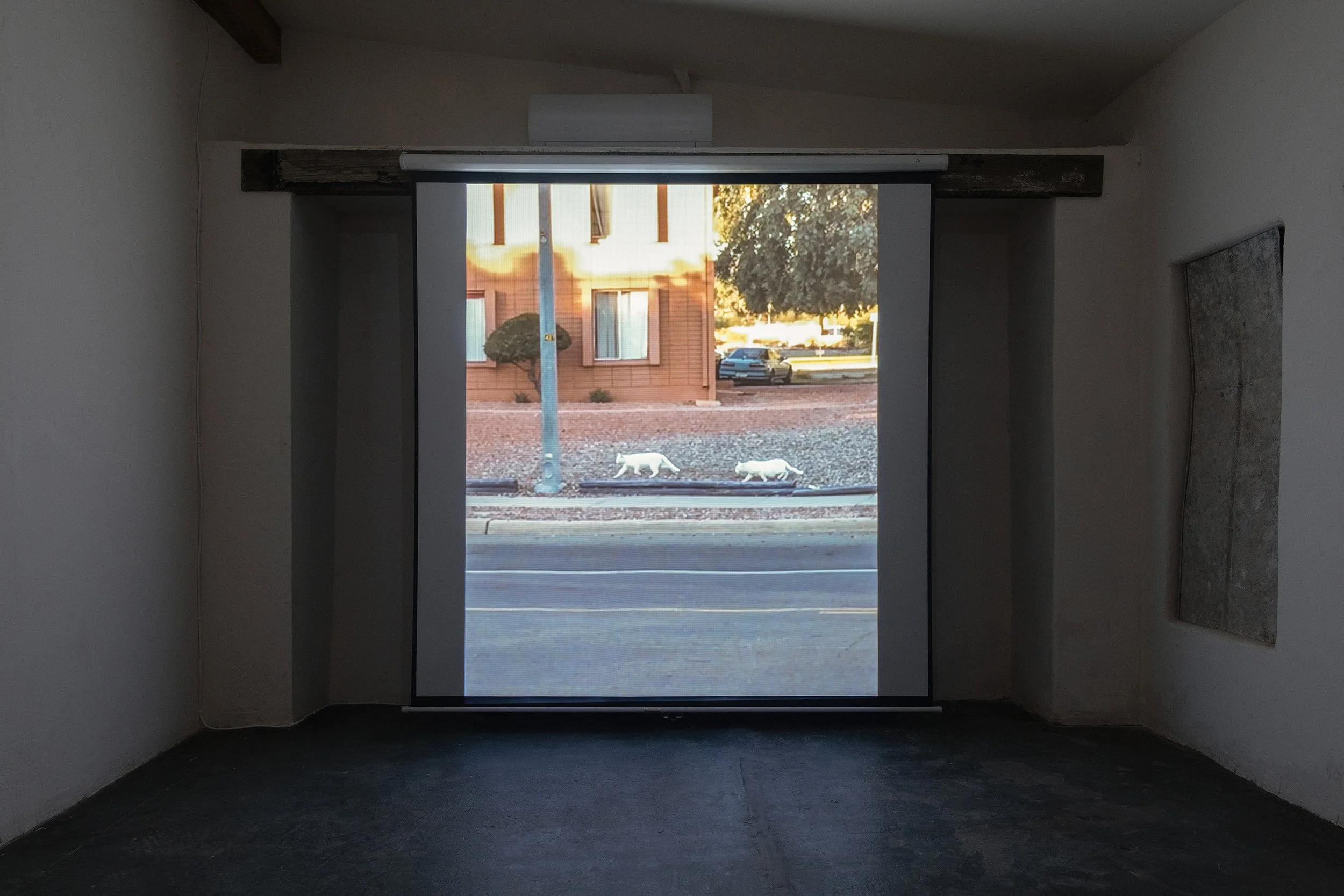 The Point,  2019 (filmed 2016-2018)
Digital video, 20 minutes, 37 seconds