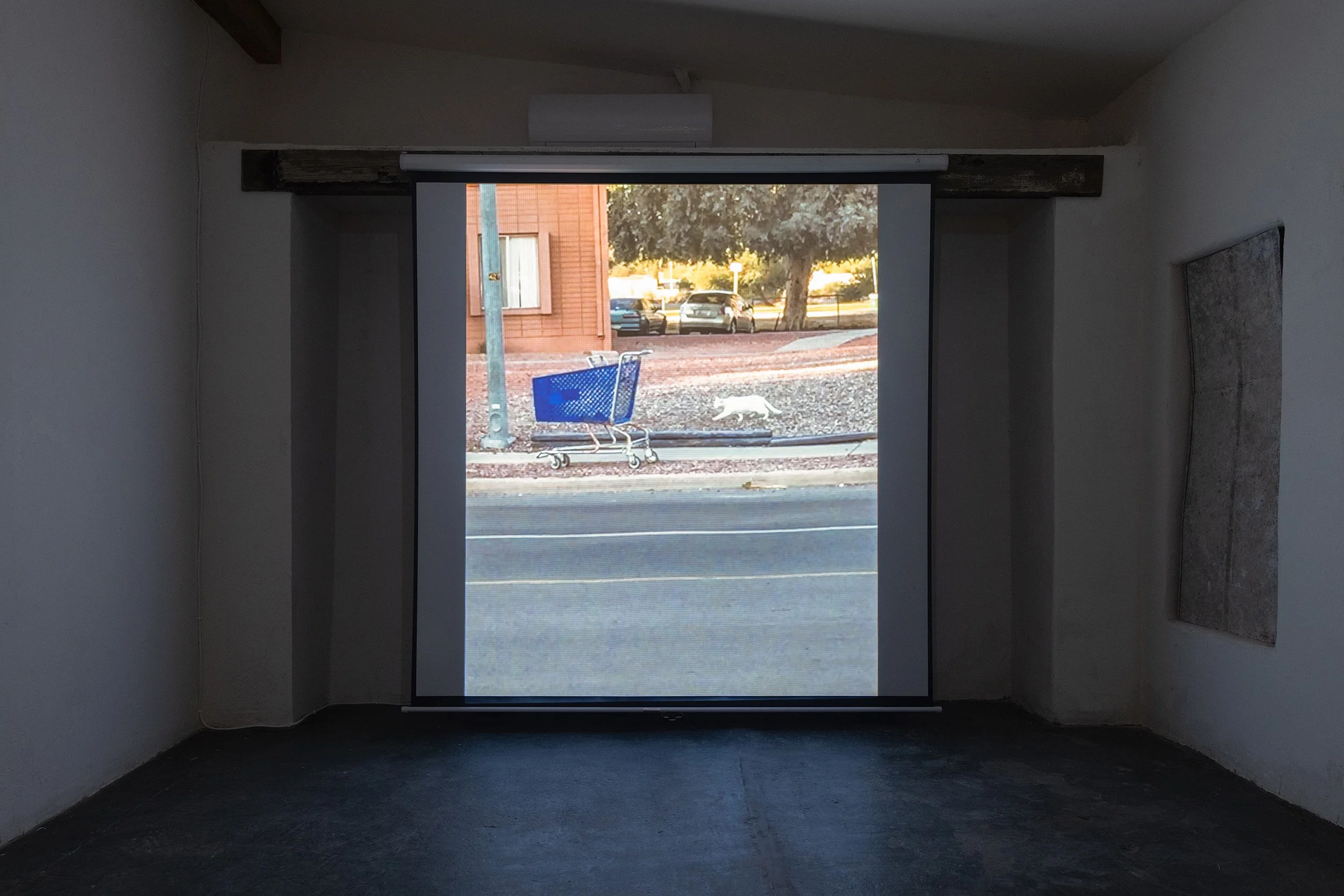 The Point,  2019 (filmed 2016-2018)
Digital video, 20 minutes, 37 seconds