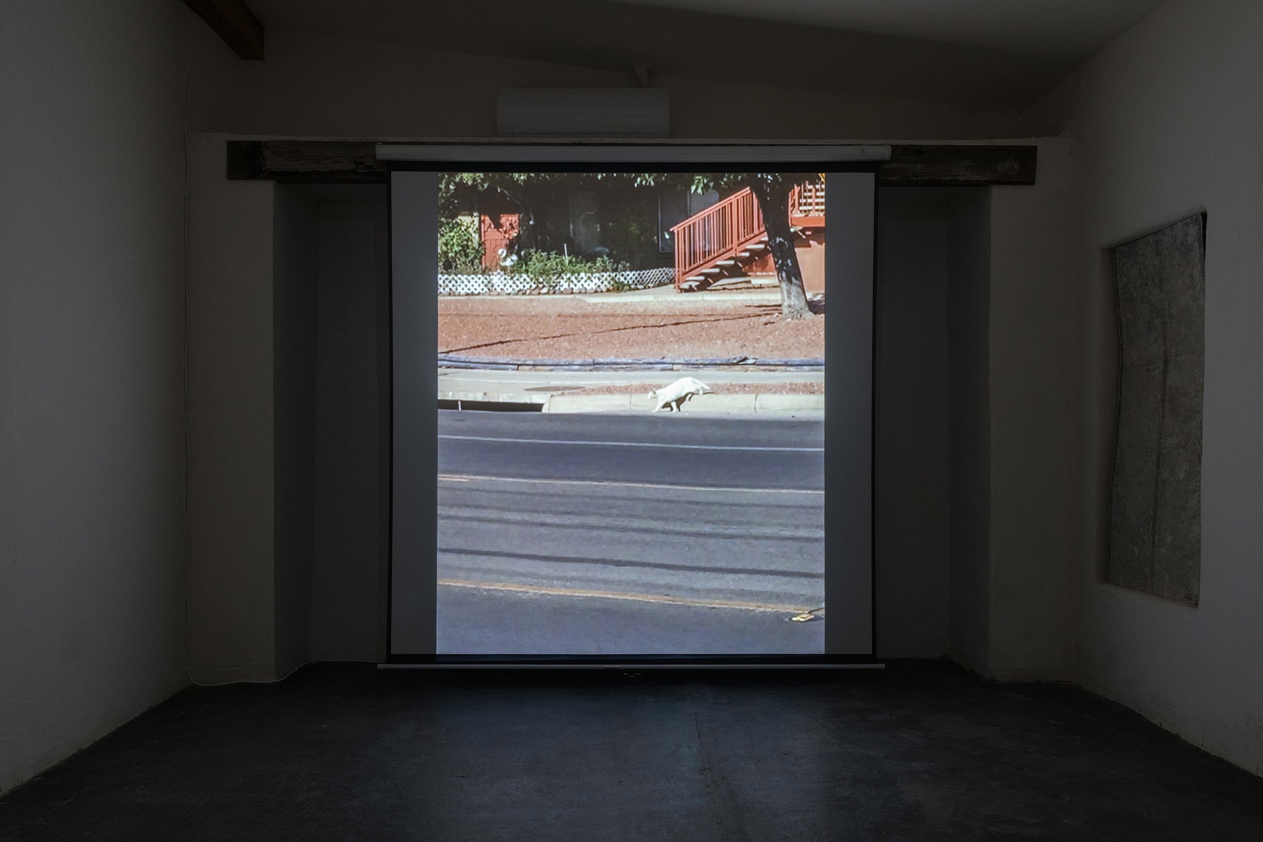 The Point,  2019 (filmed 2016-2018)
Digital video, 20 minutes, 37 seconds