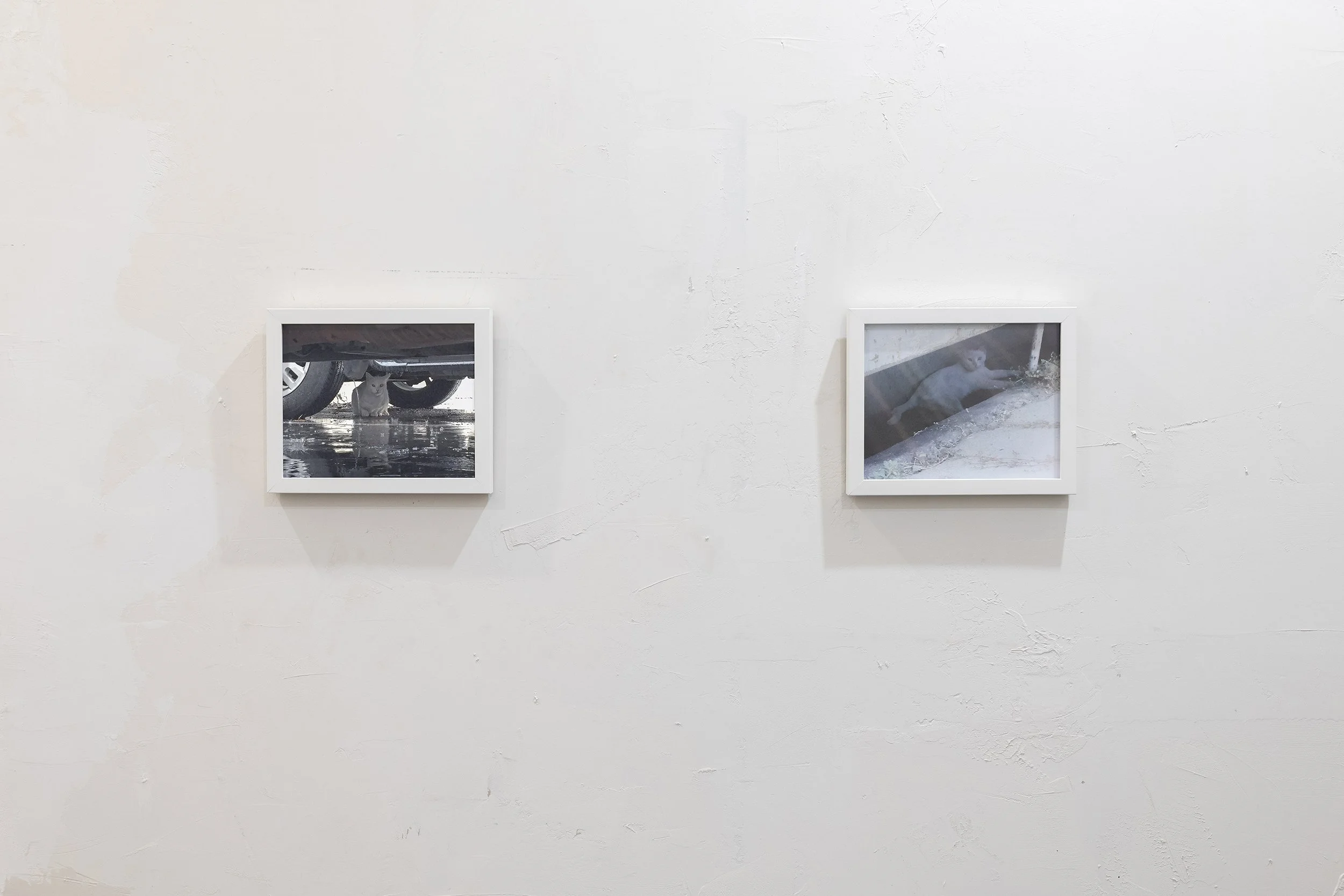 Untitled Photographs (December 22, 2016), (September 19, 2017),  Printed 2026, Giclée prints, 8x10 inches
