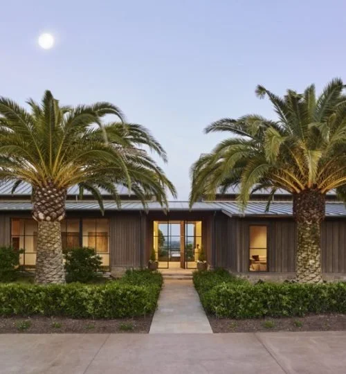 front of home with two palm trees