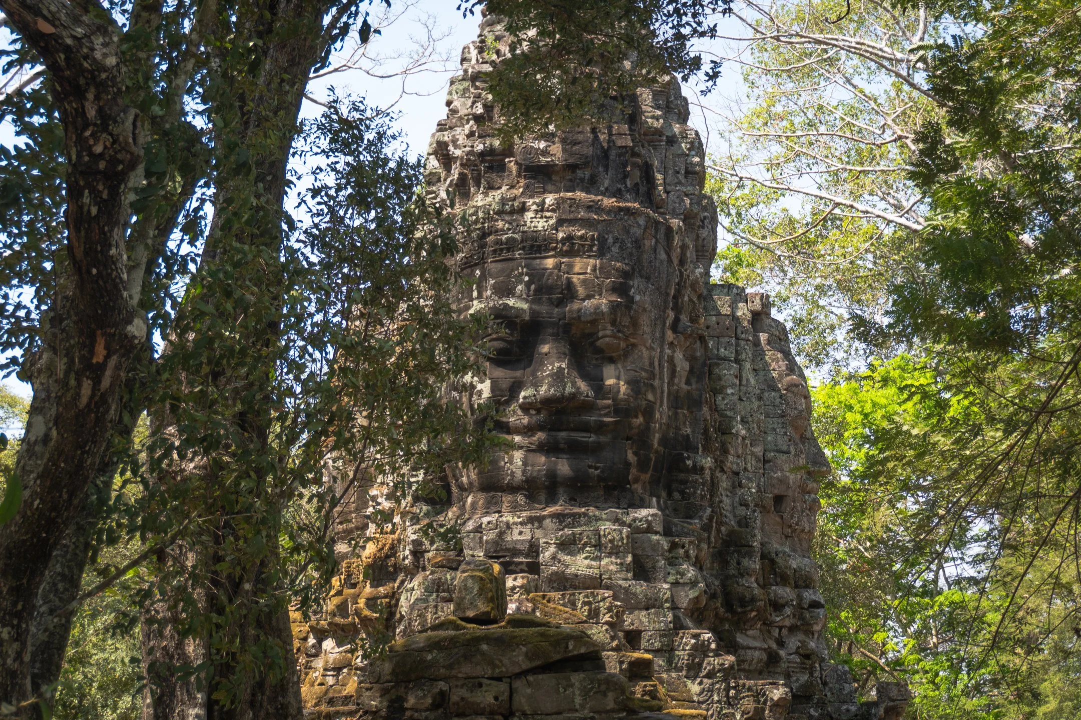 Ancient carved stone face engulfed by jungle foliage at the Angkor temple complex, Siem Reap, Cambodia